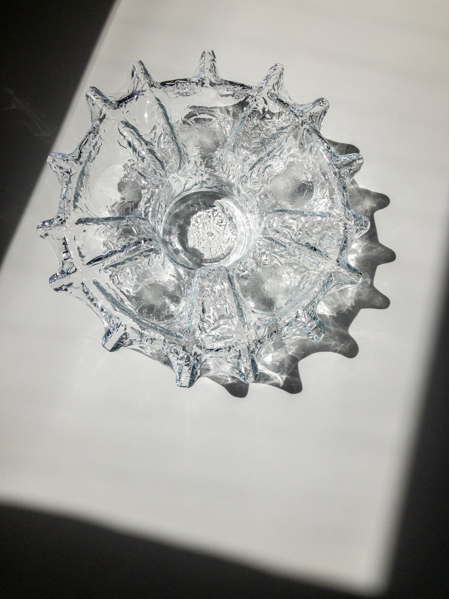 真上からの写真