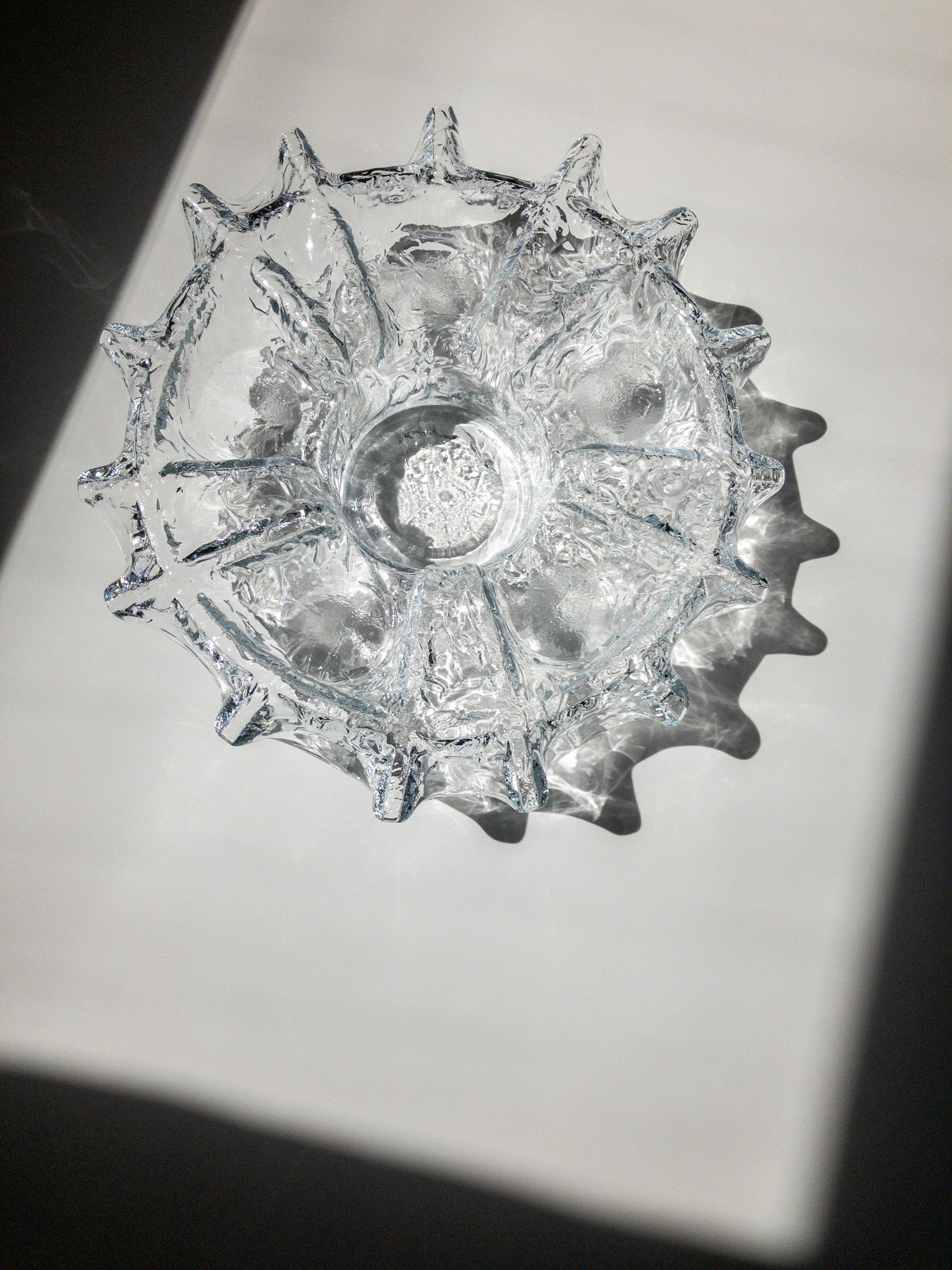 真上からの写真