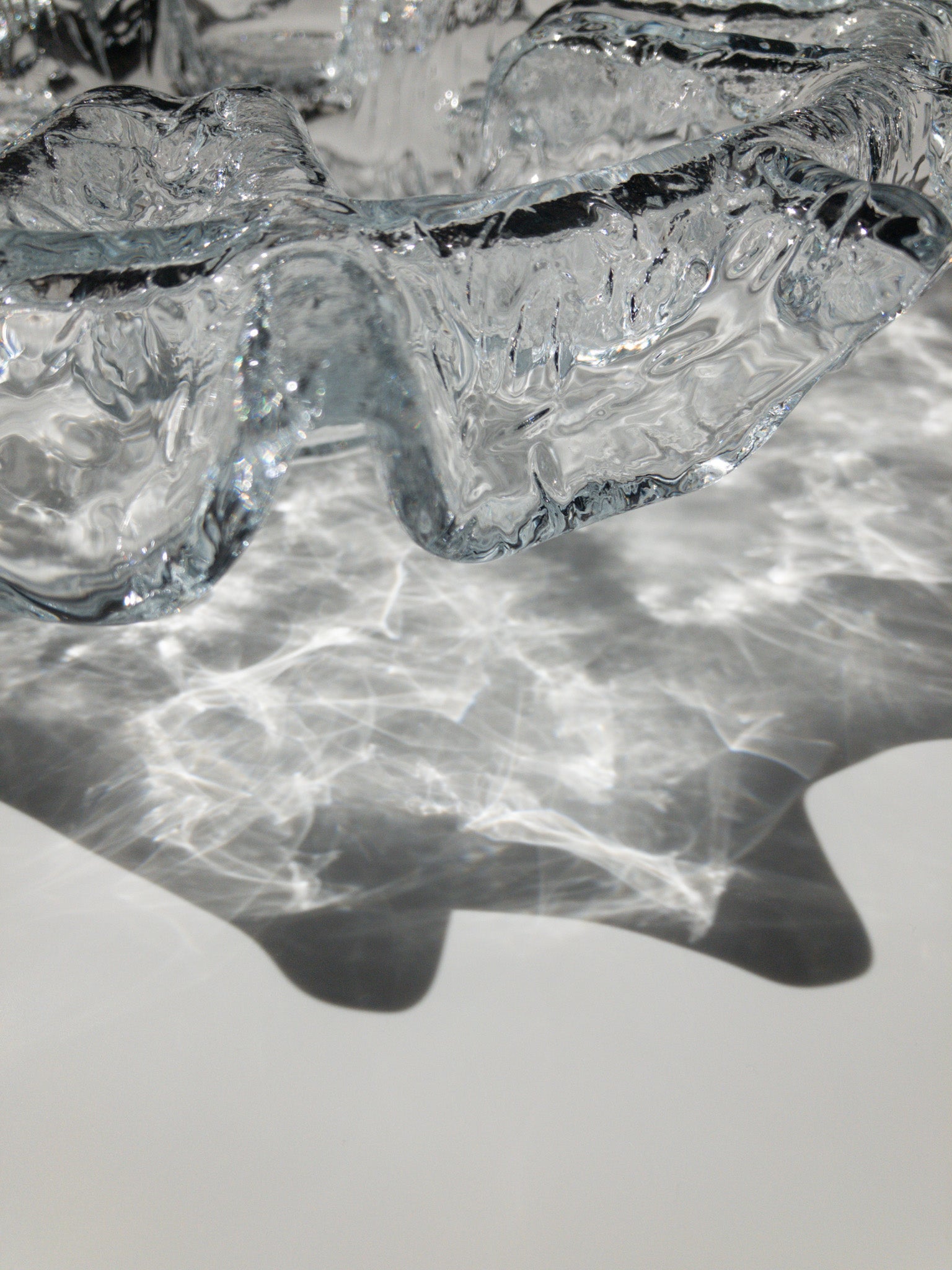 クローズアップした写真