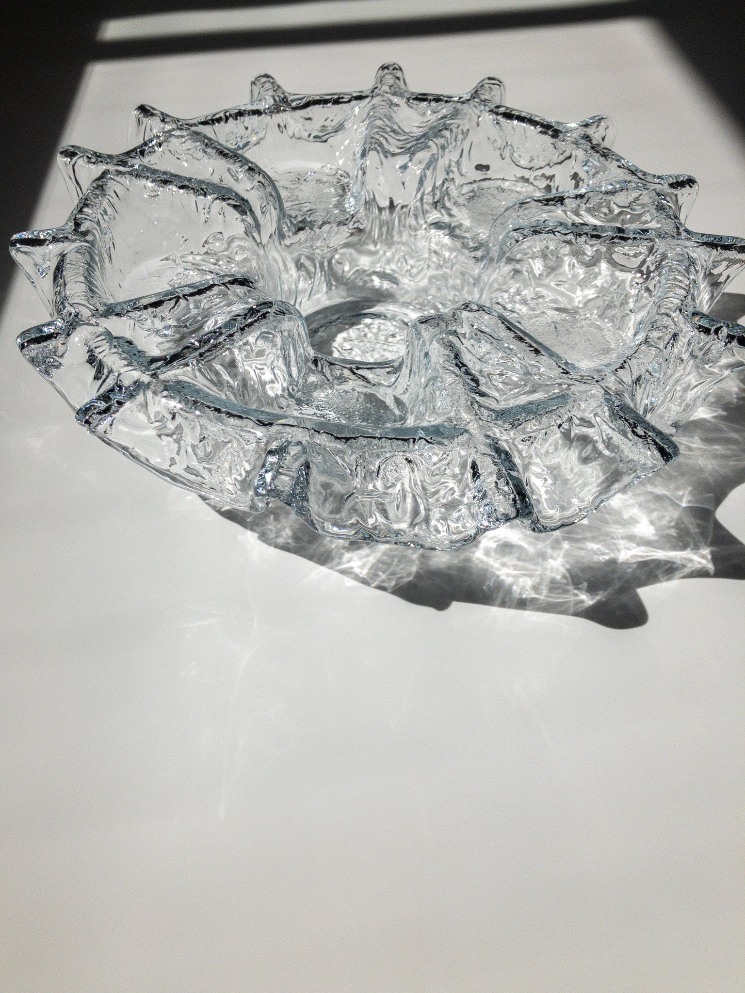 手前からの写真