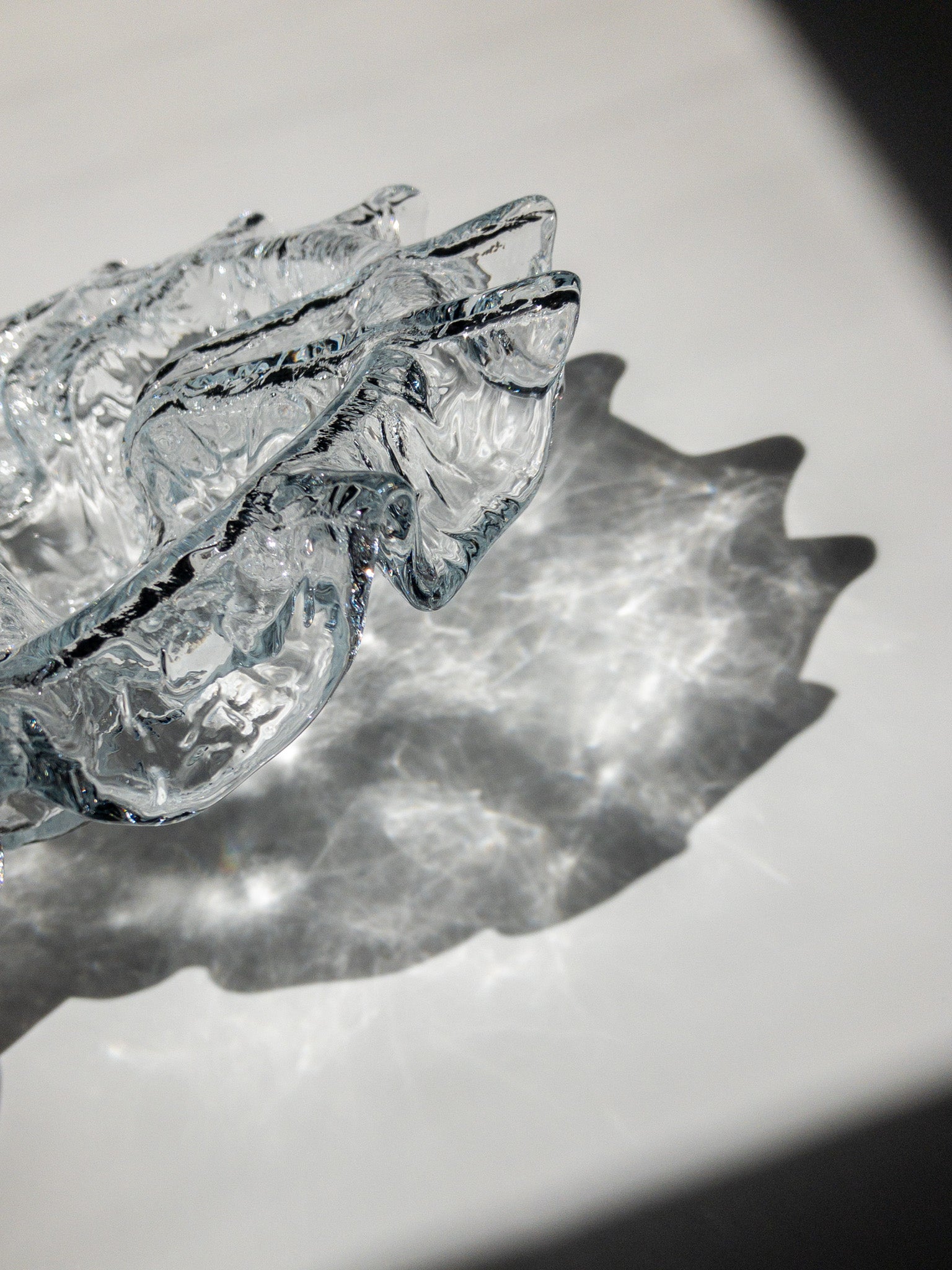 影を写した写真