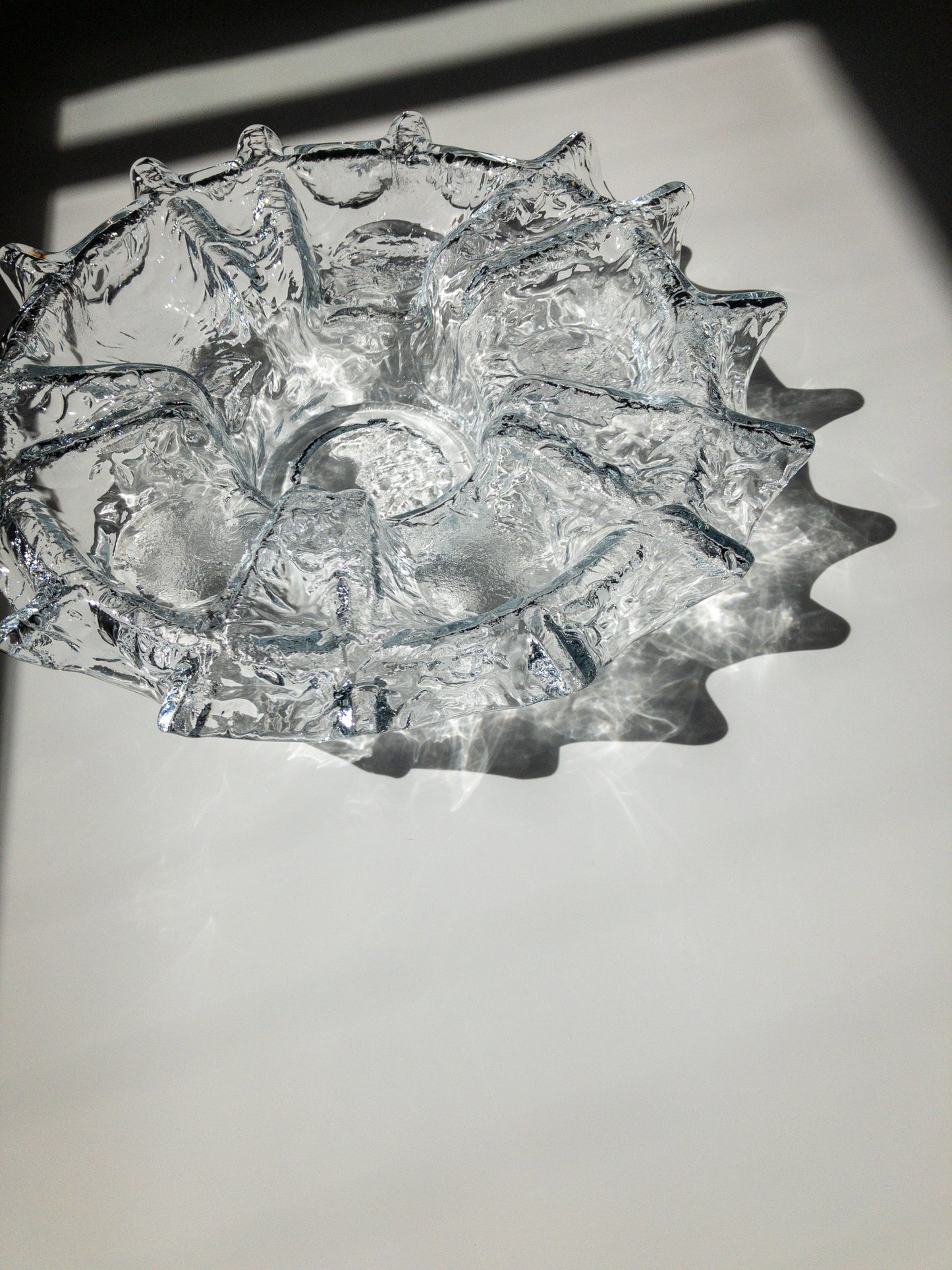 右斜め前からの写真