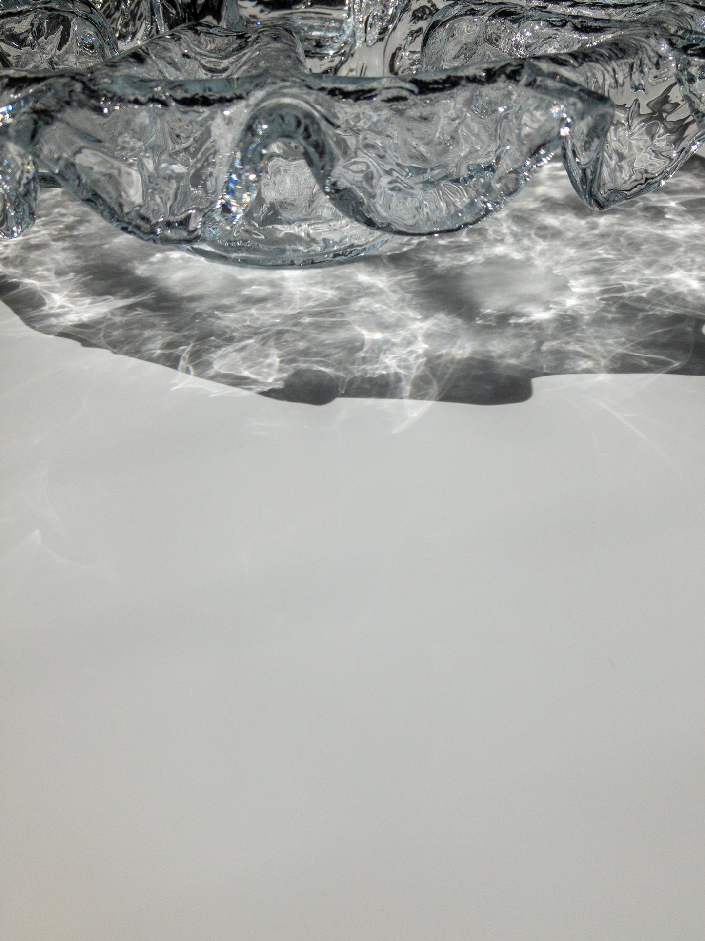 下部からの写真