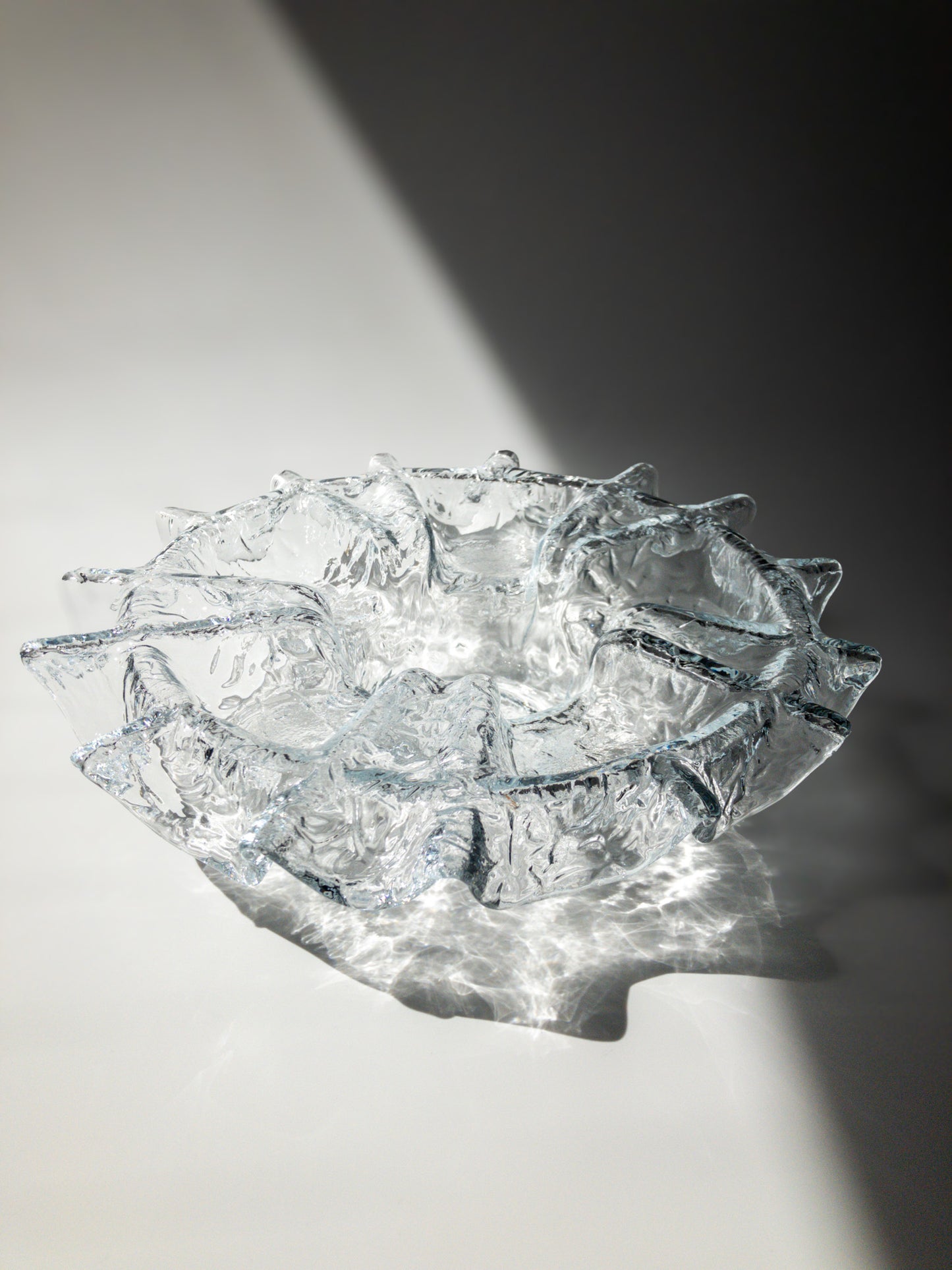 正面からの写真