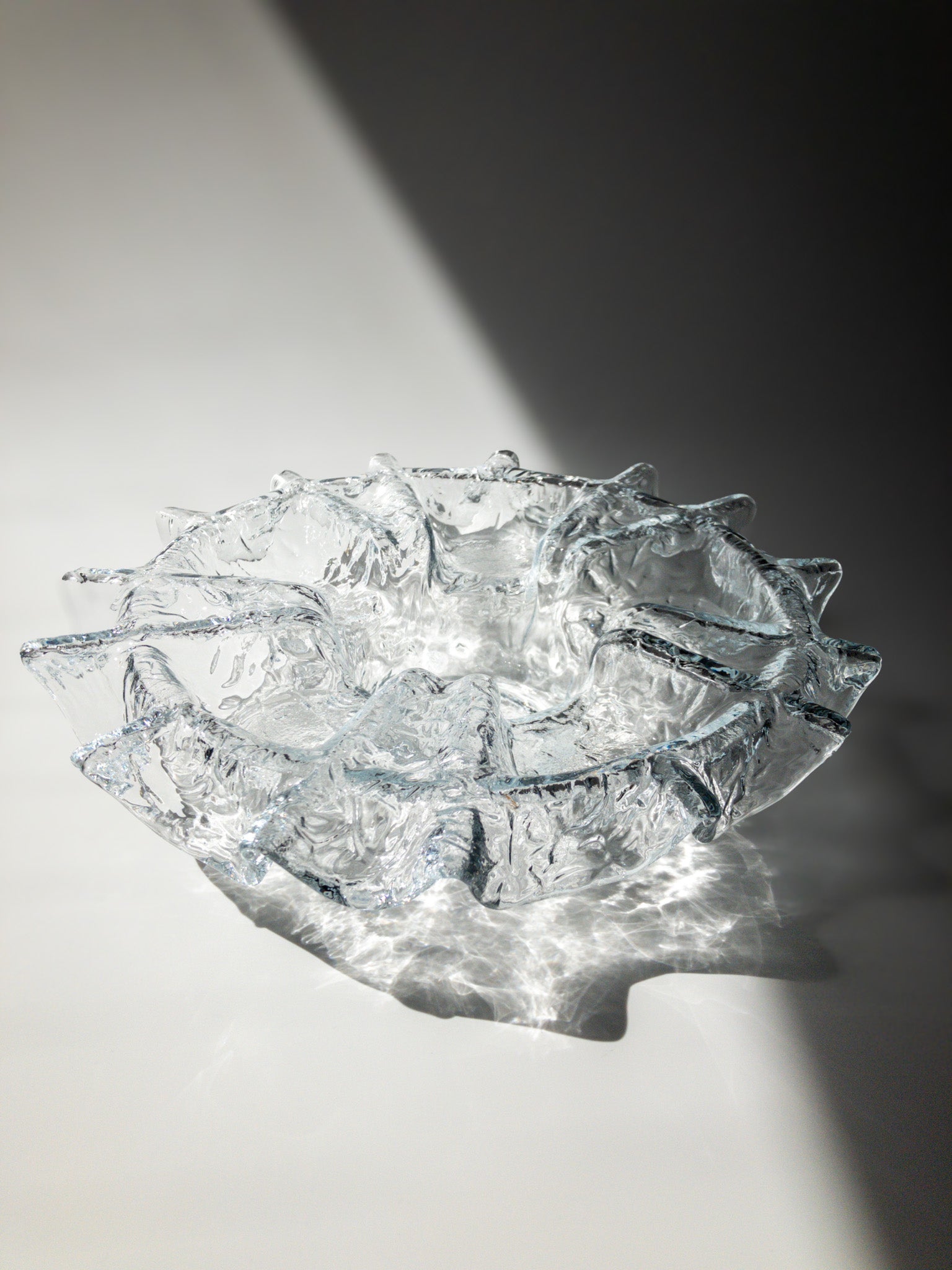 正面からの写真