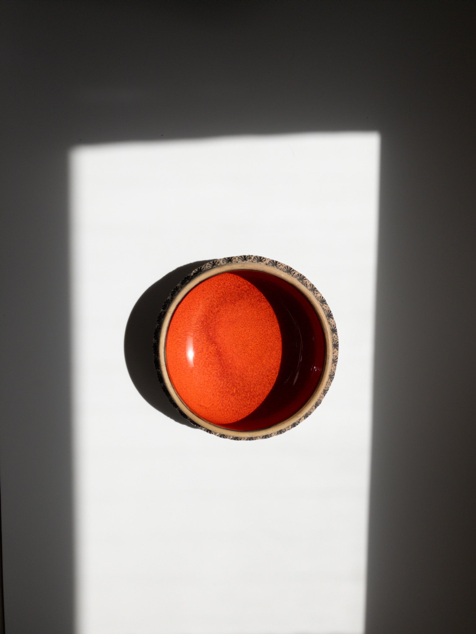 真上からの写真