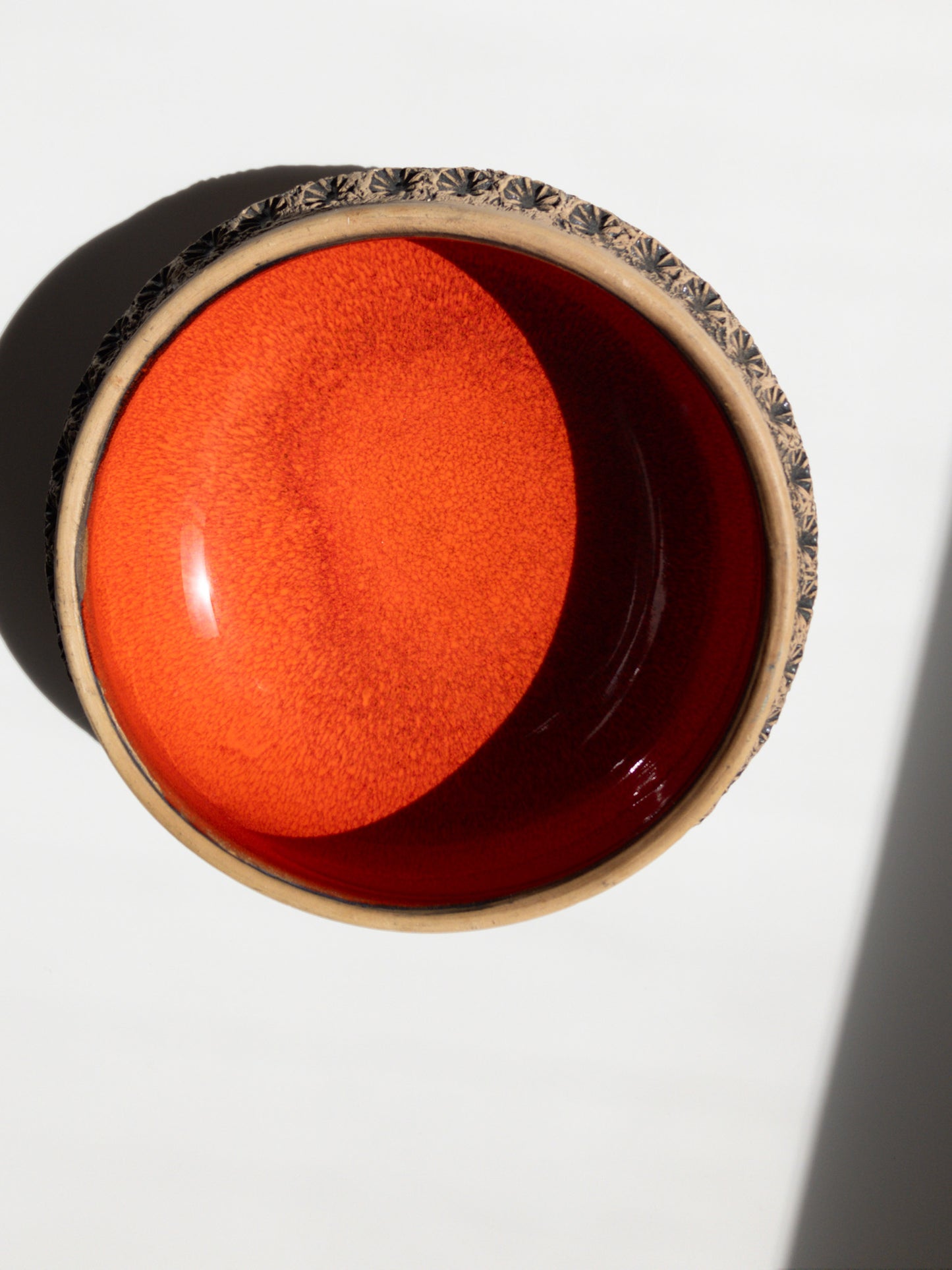 上部からの写真