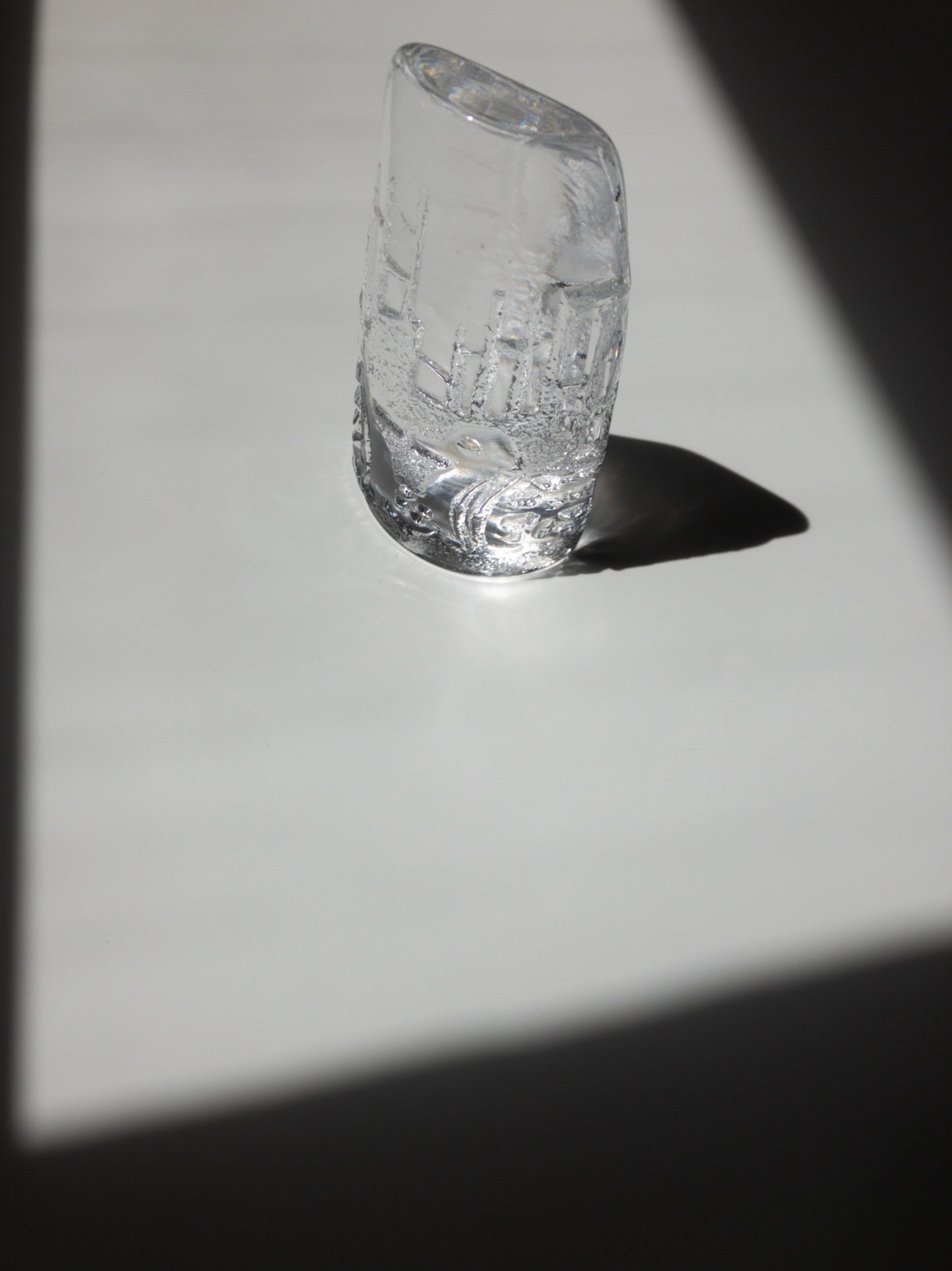 手前からの写真