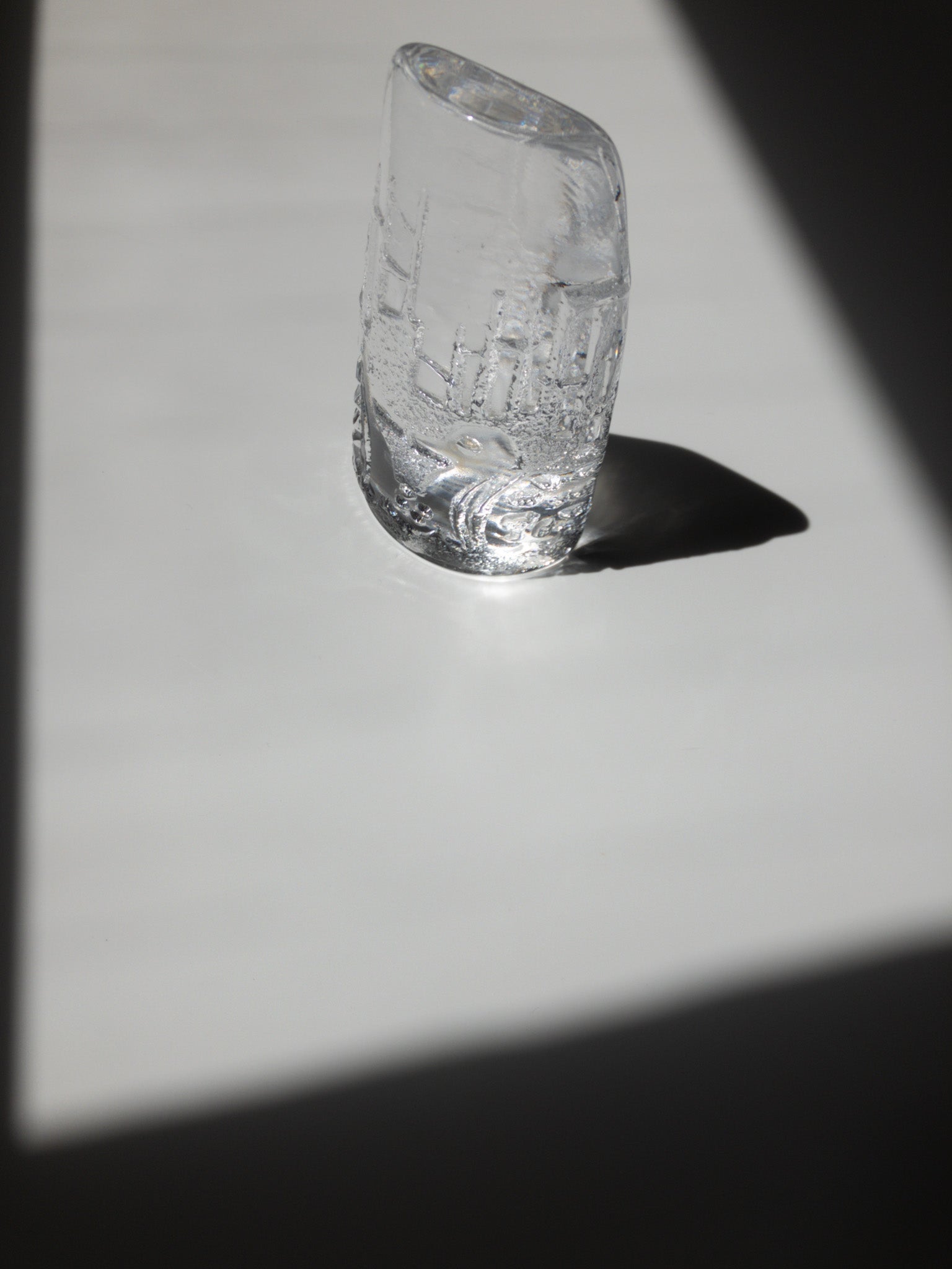 手前からの写真