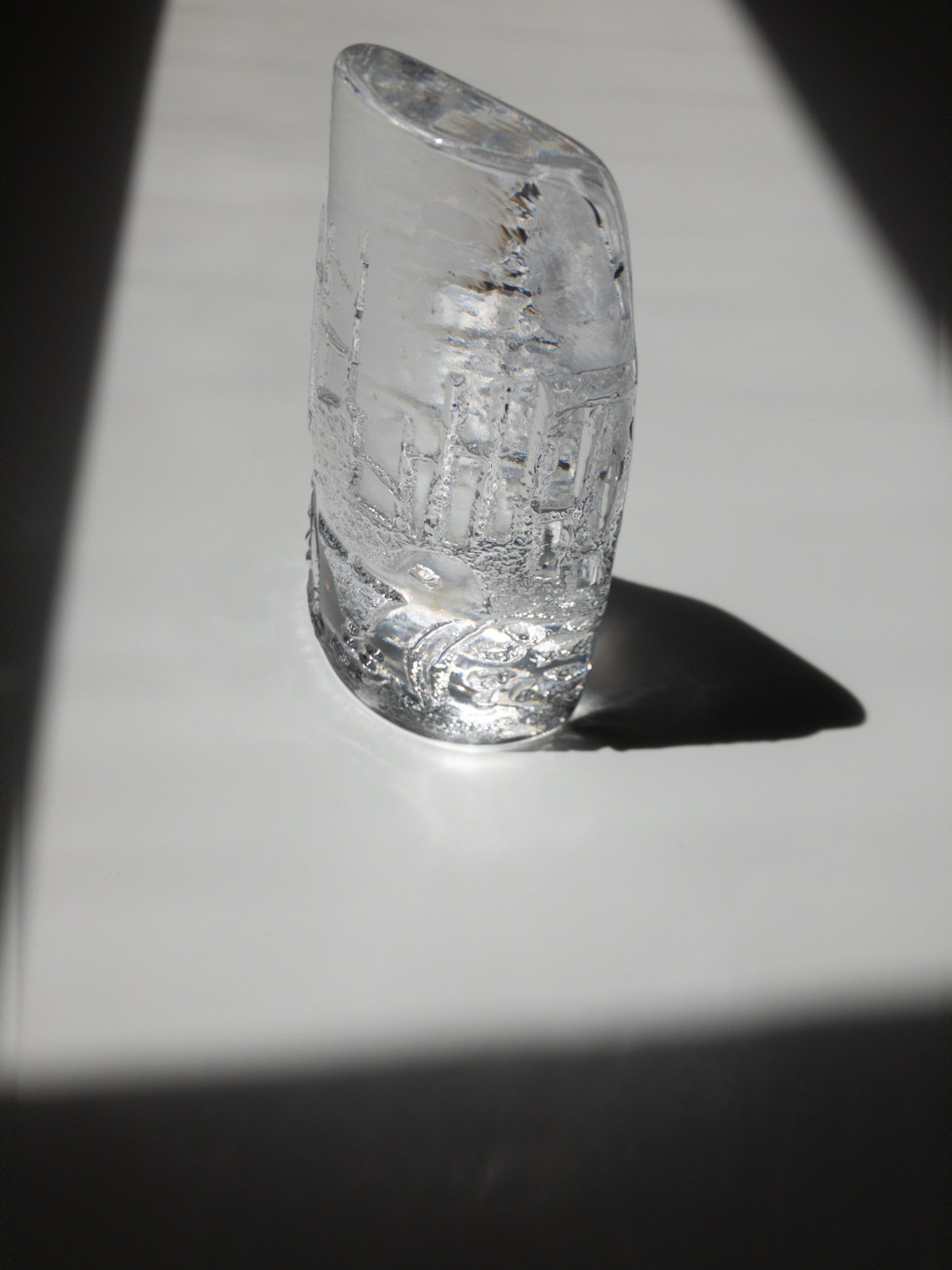 手前からの写真