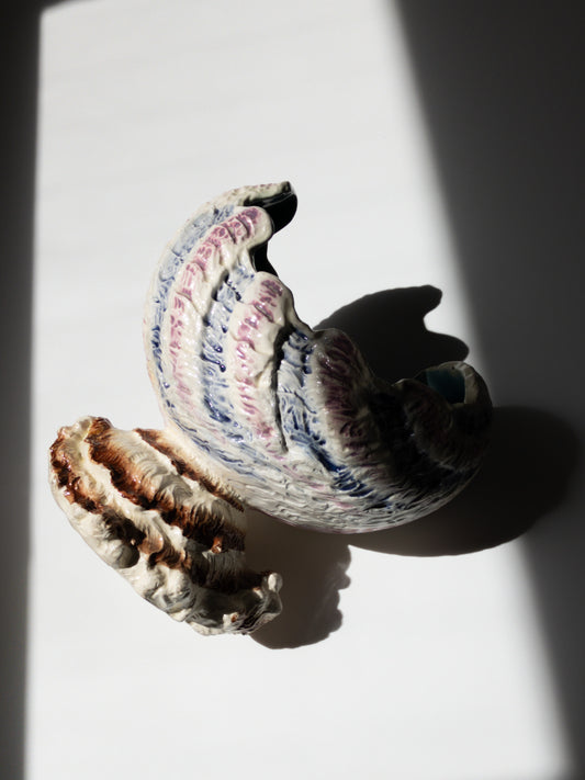 上部からの写真