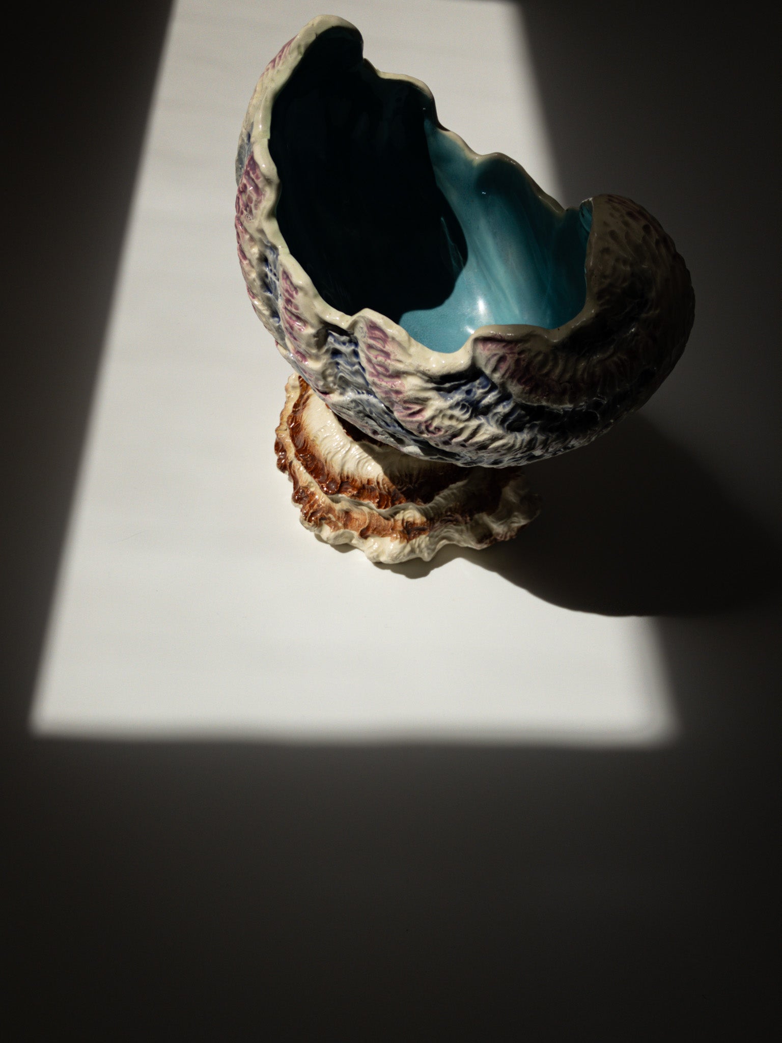 少し離れたところからの写真