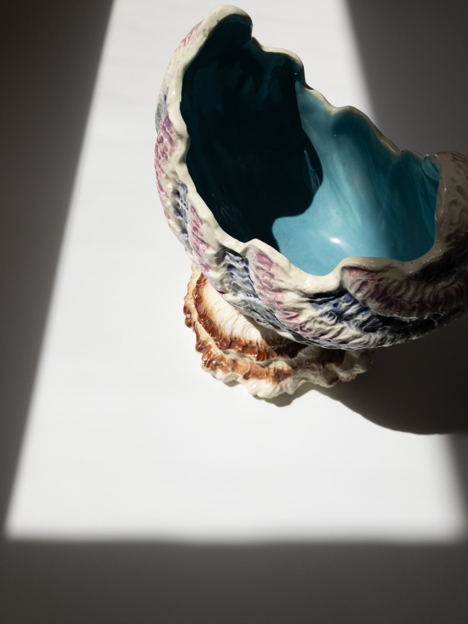 左手前からの写真