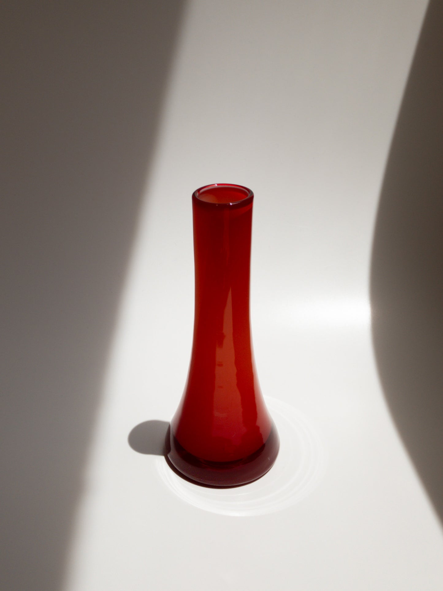 正面からの写真