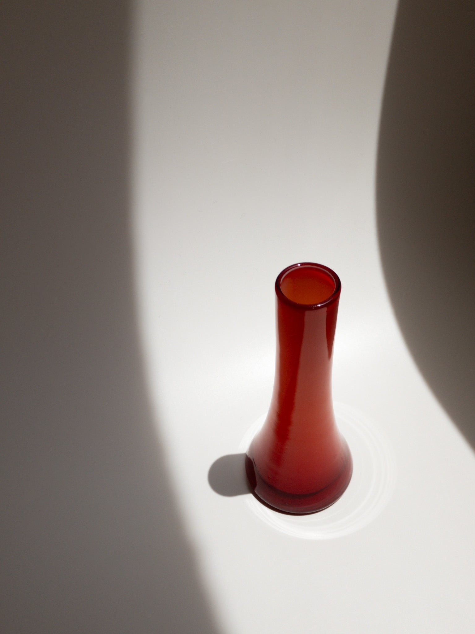 左斜め上部からの写真