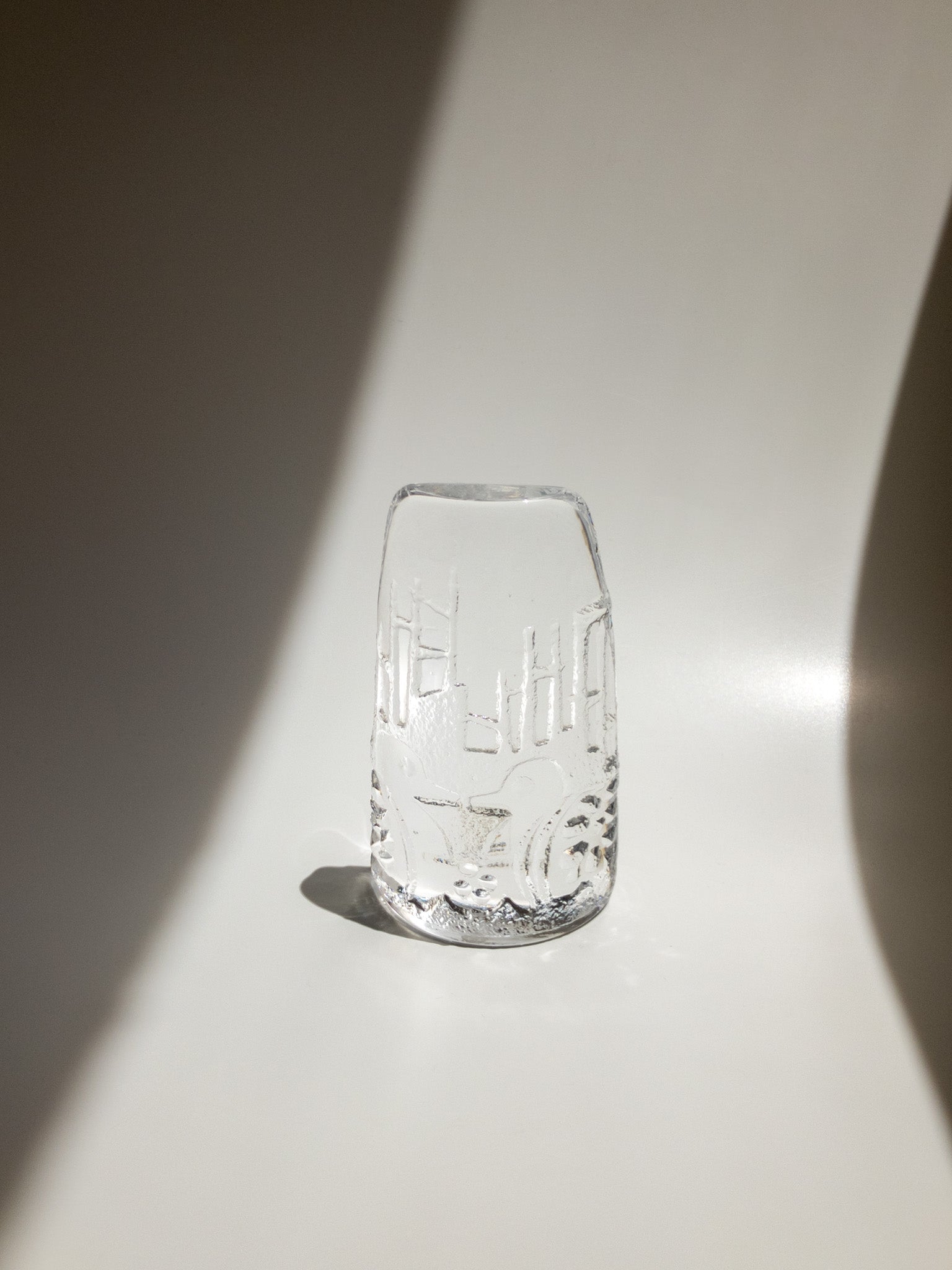 正面からの写真