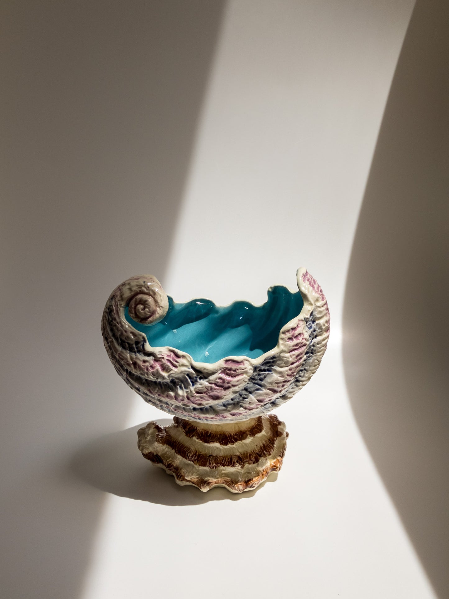 正面からの写真