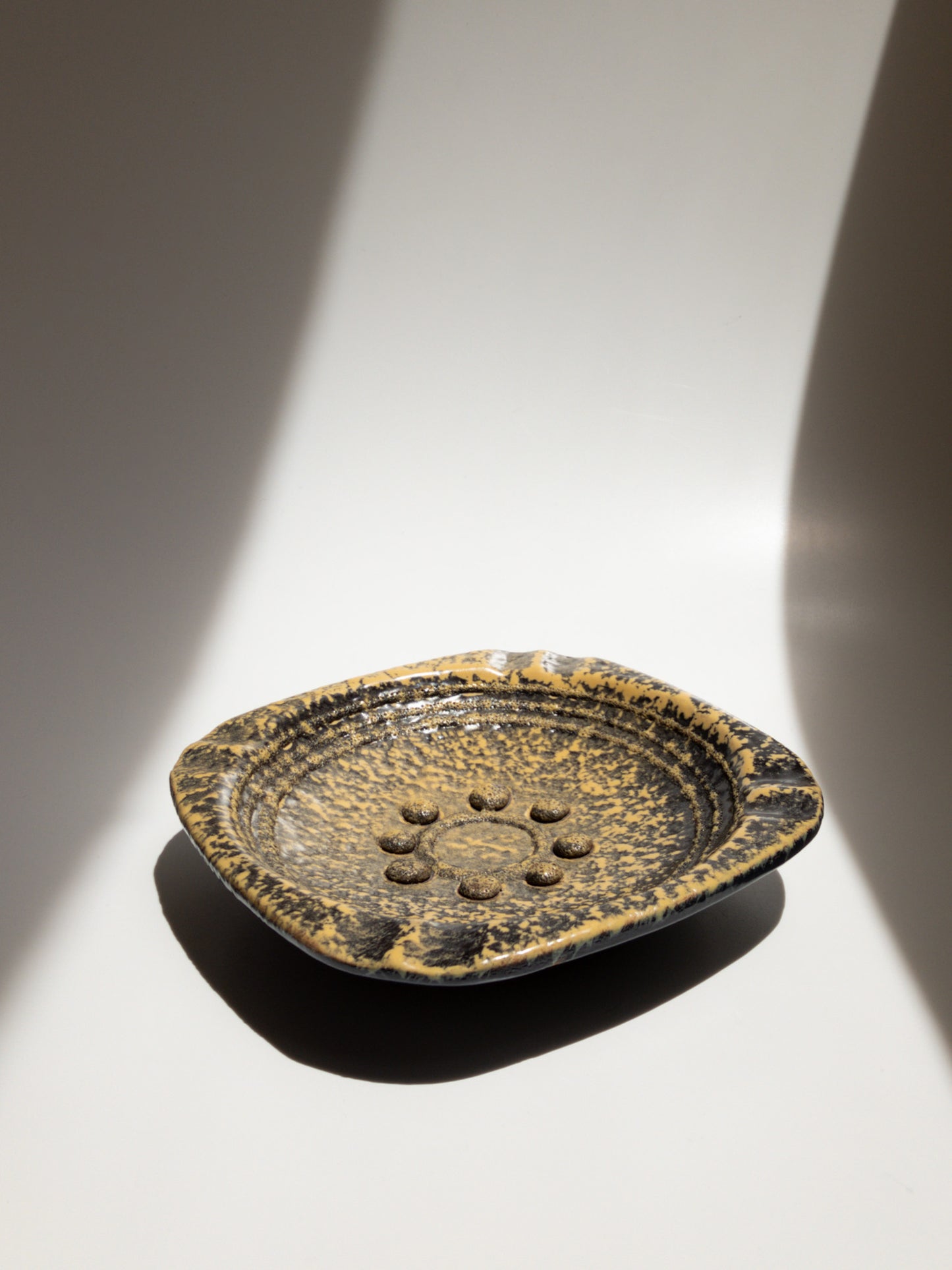 正面からの写真