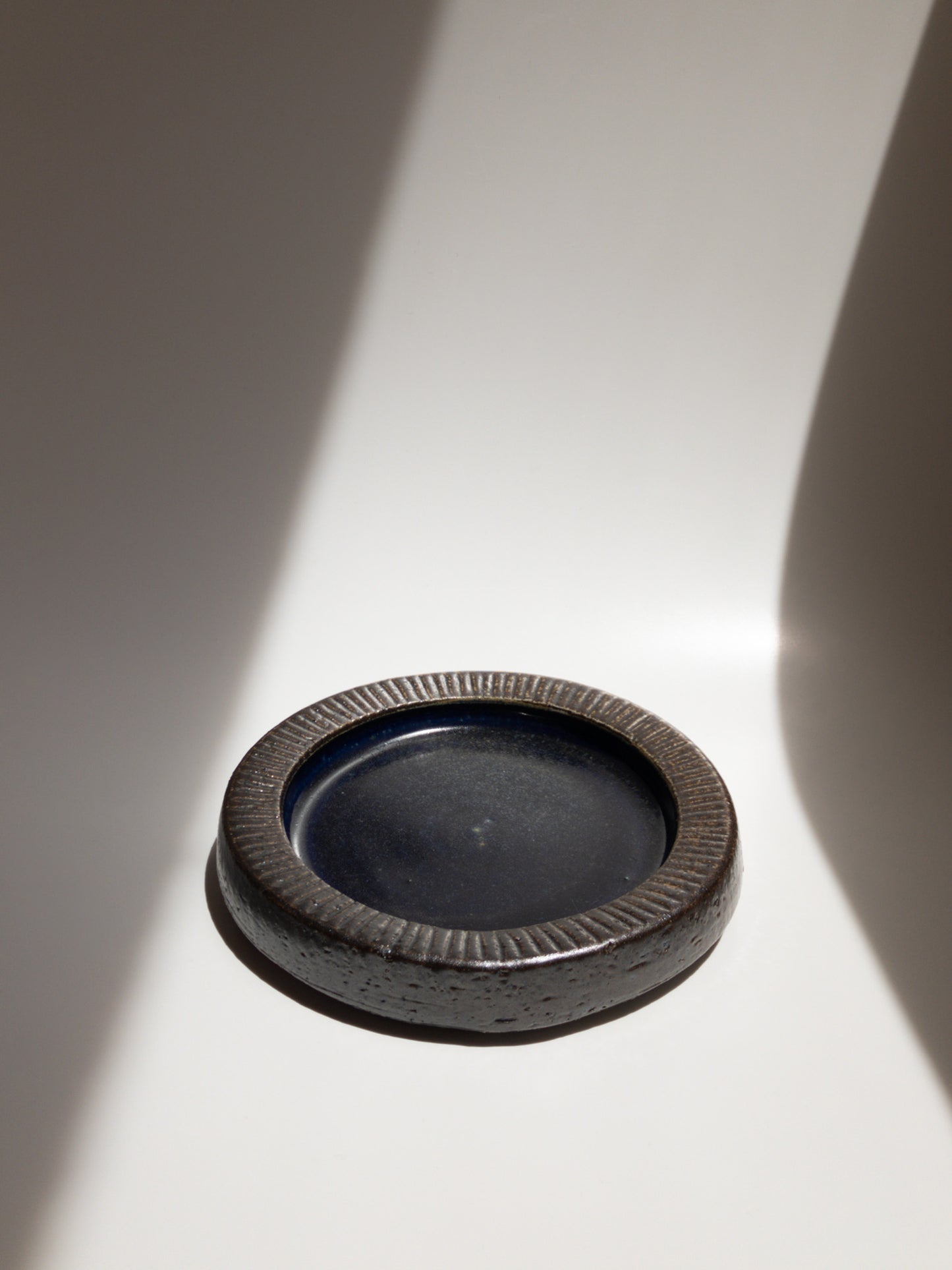 正面からの写真