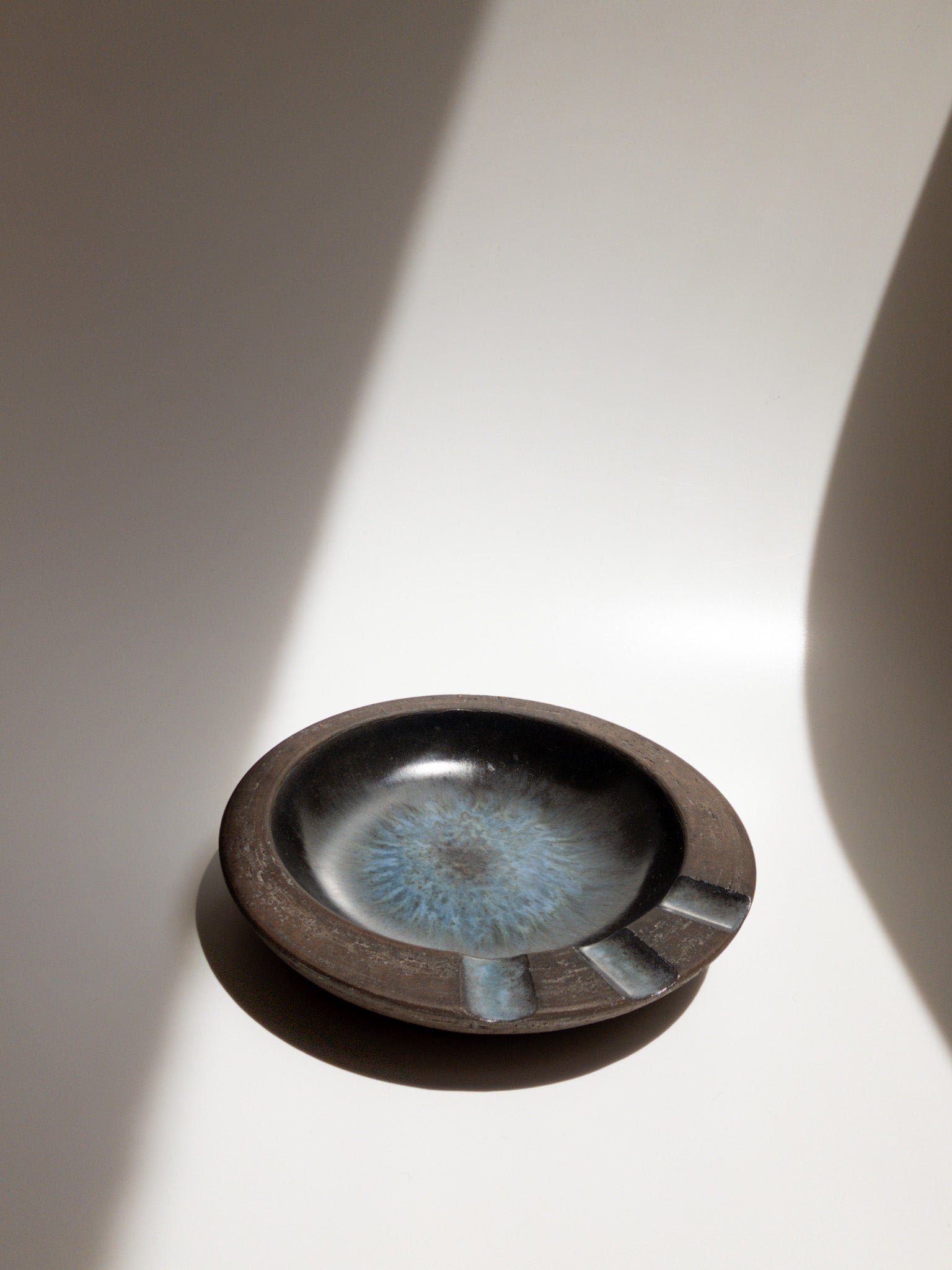 正面からの写真