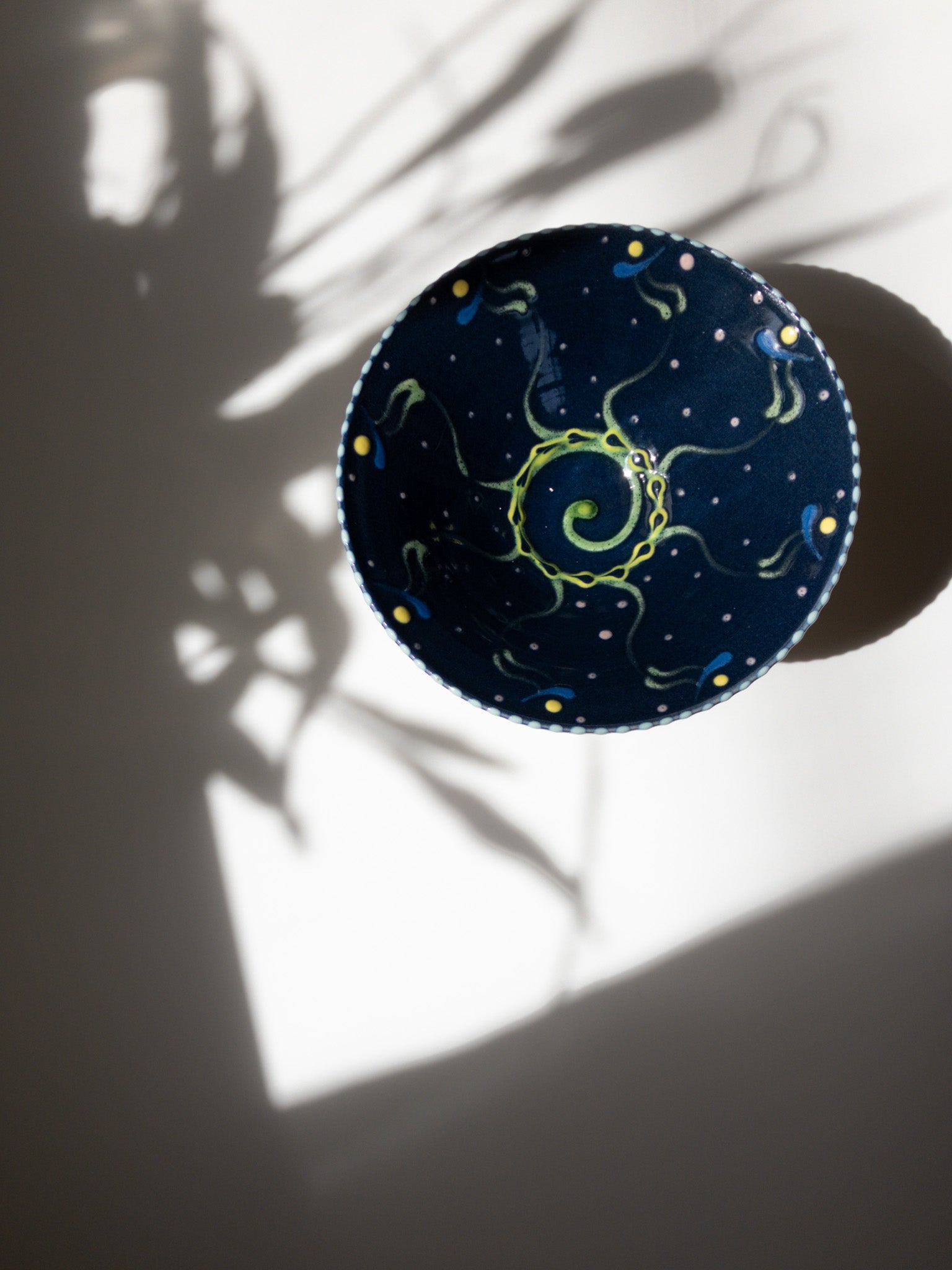 真上からの写真