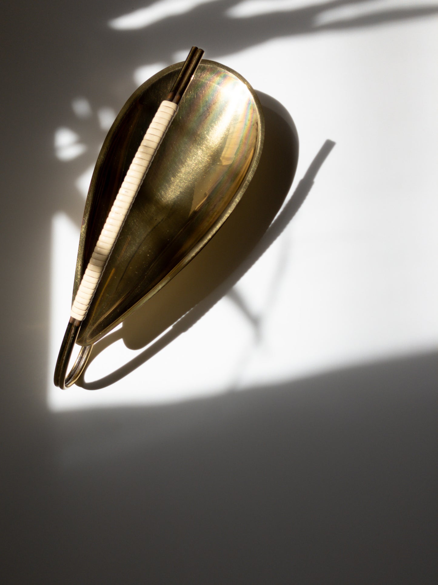 トレイ上部からの写真