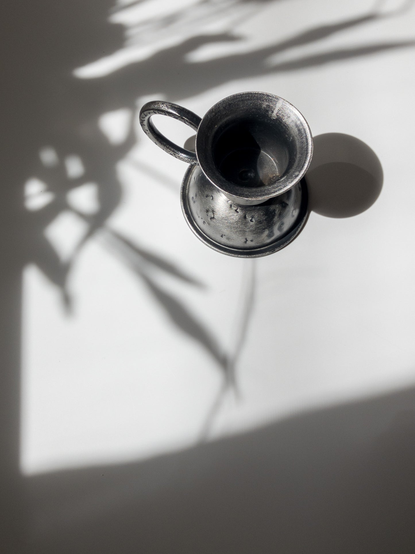 上部からの写真