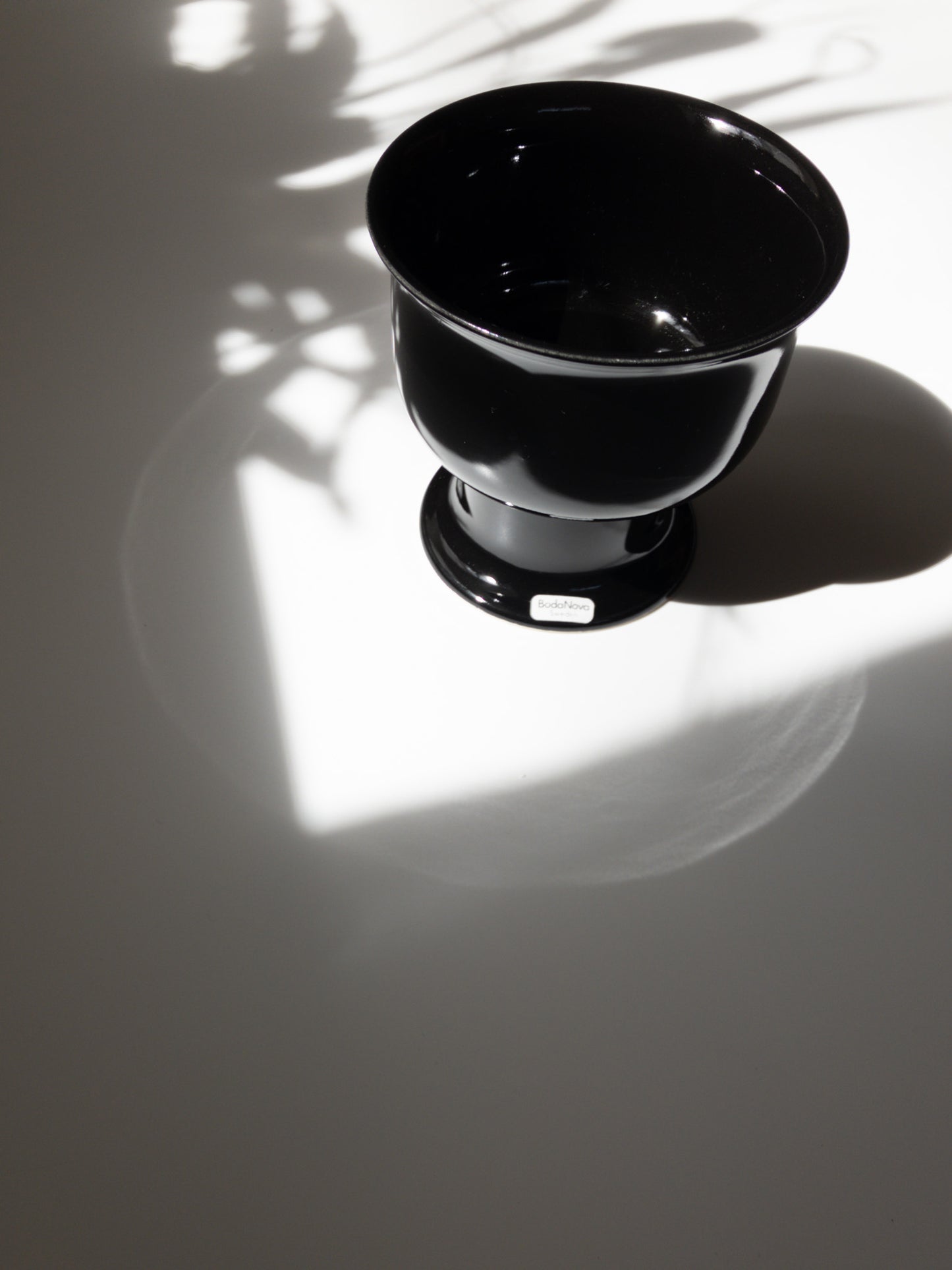 左上部からの写真