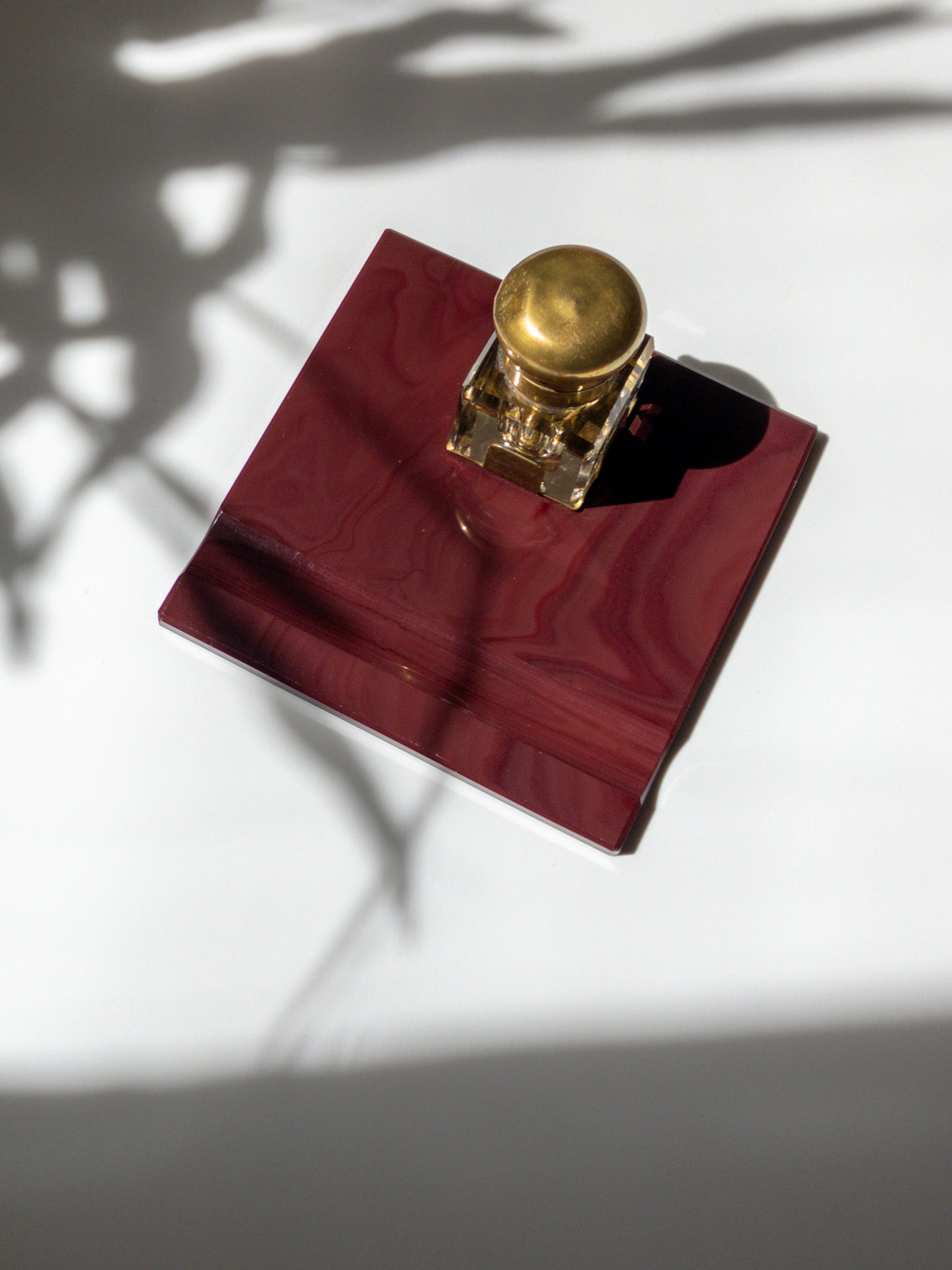 上部からの写真