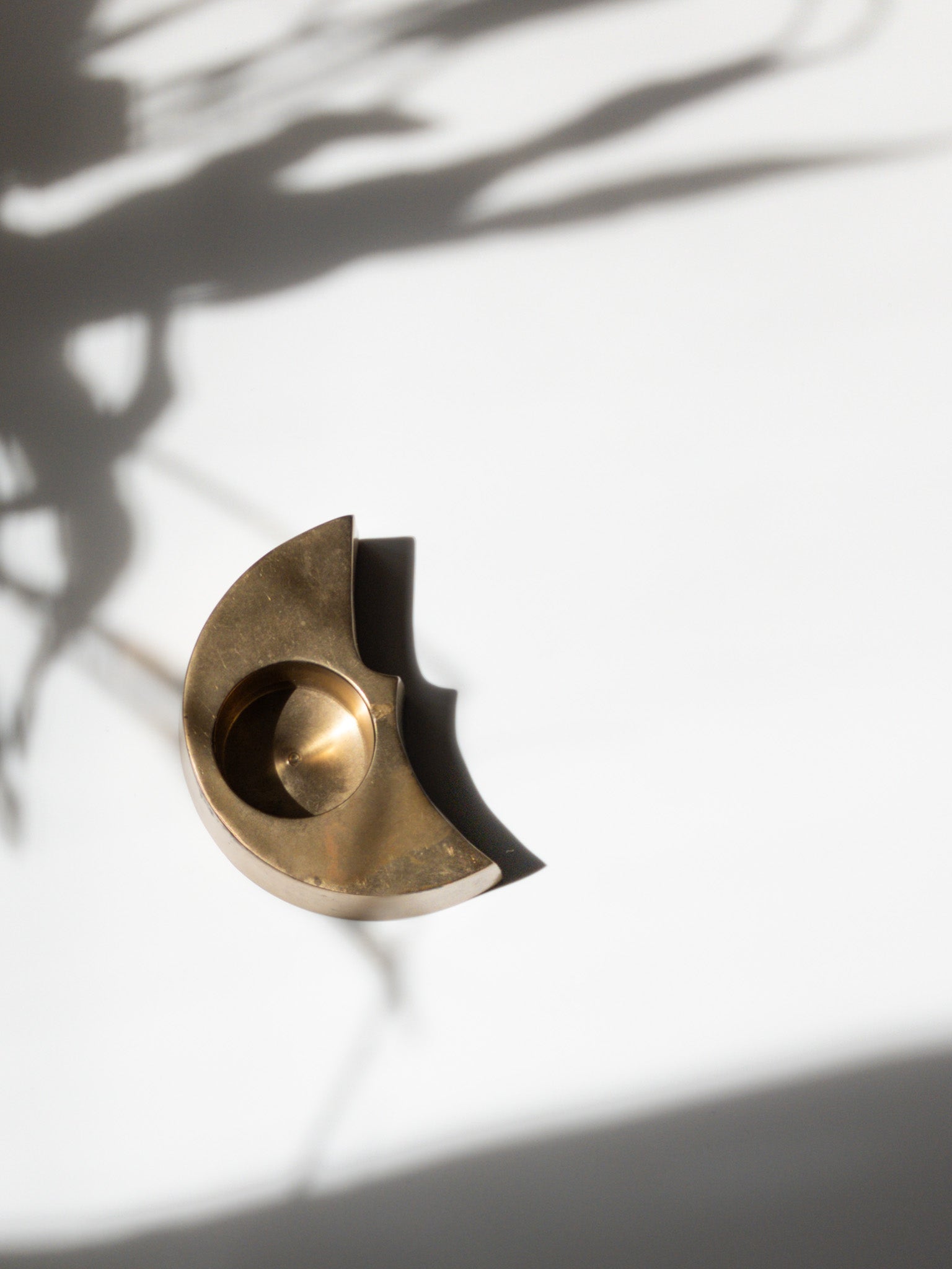 上部からの写真