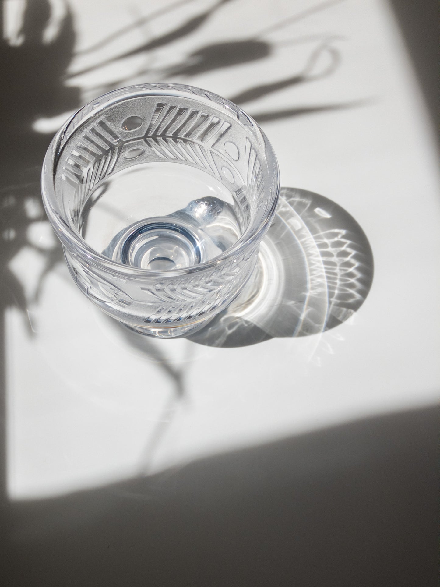 上部からの写真、内側が写っている