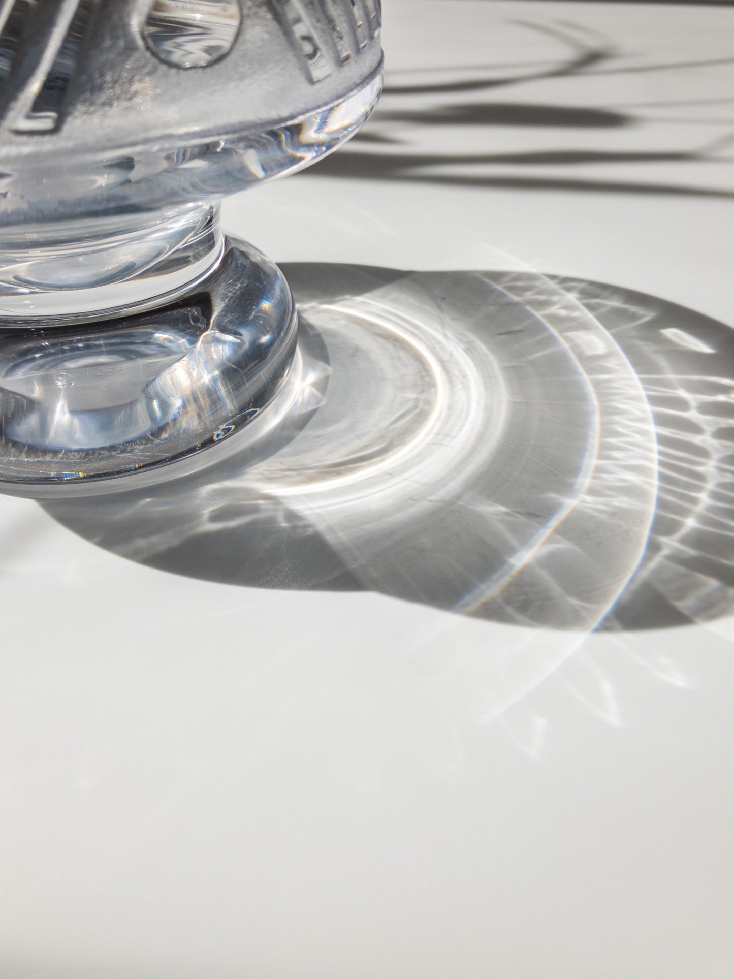 影の部分を写した写真