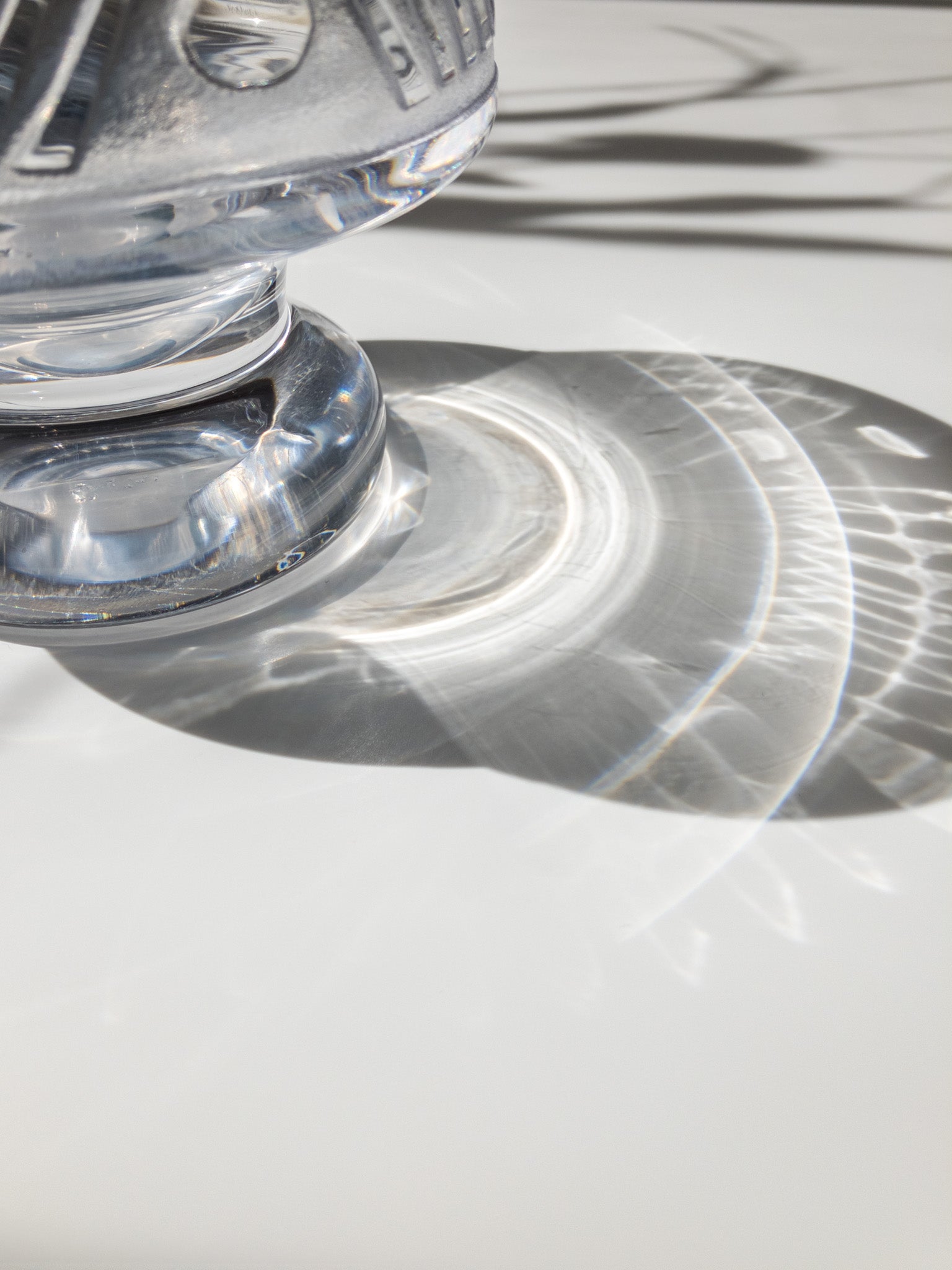 影の部分を写した写真