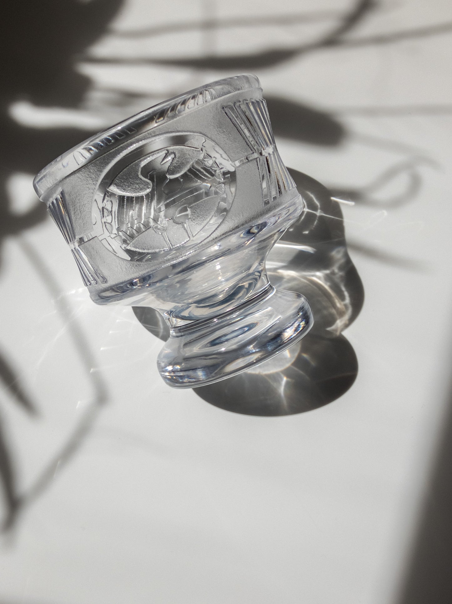 鳥のマーク部分を撮った写真