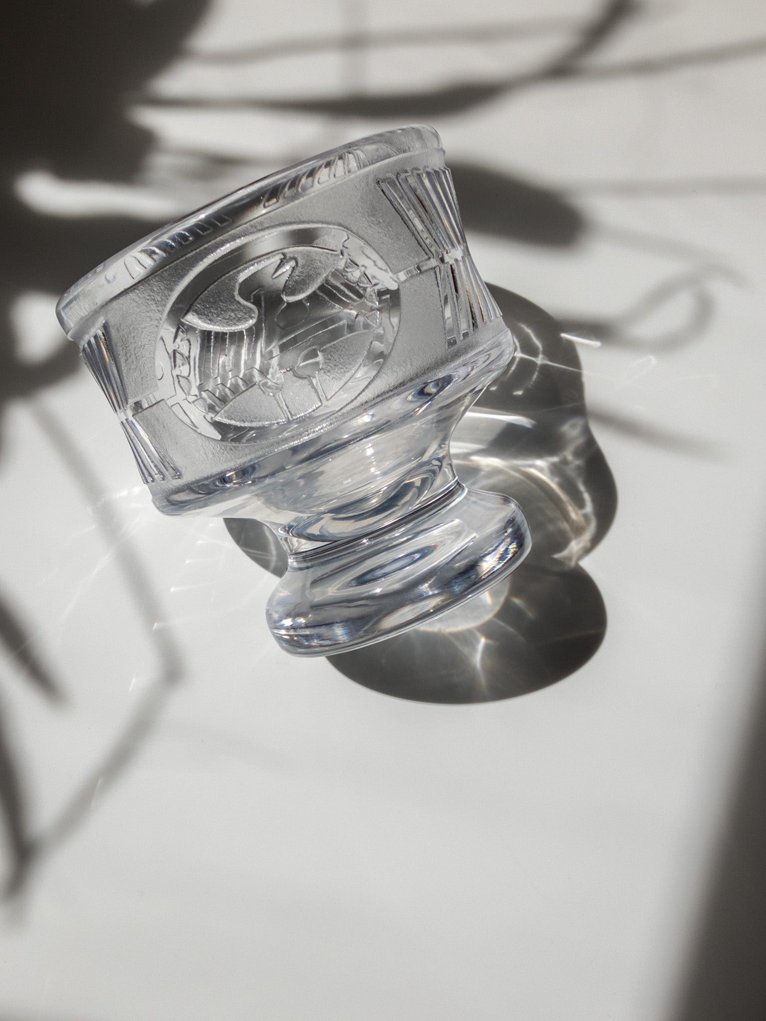 鳥のマーク部分を撮った写真