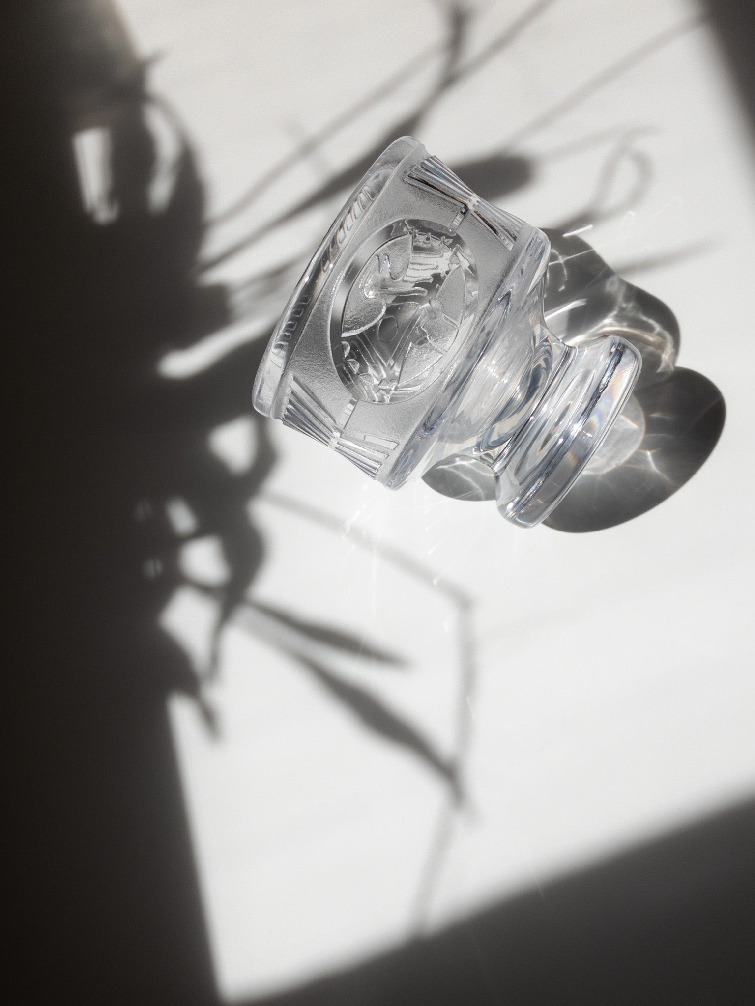 上部からの写真