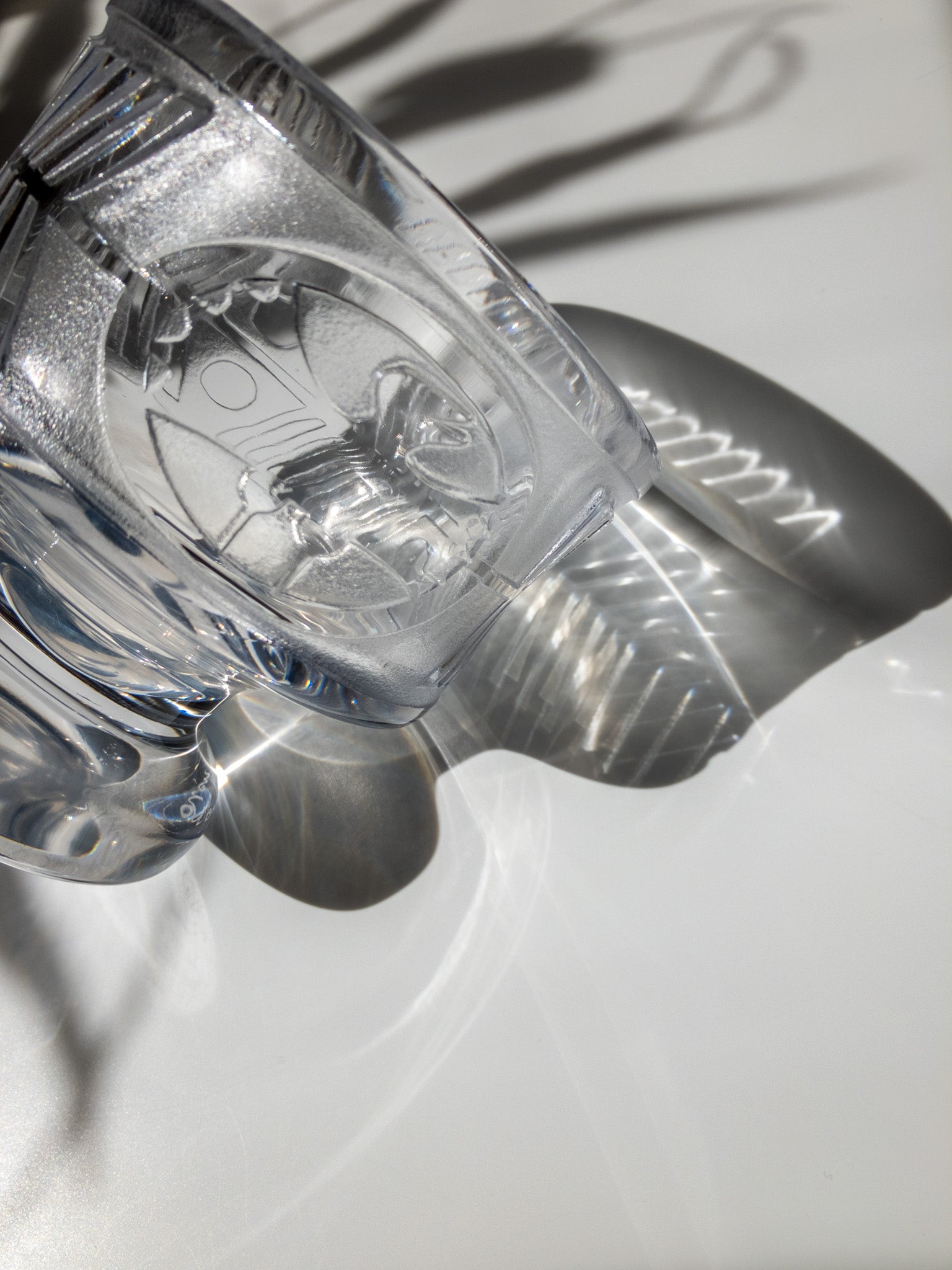 右斜め前からの写真