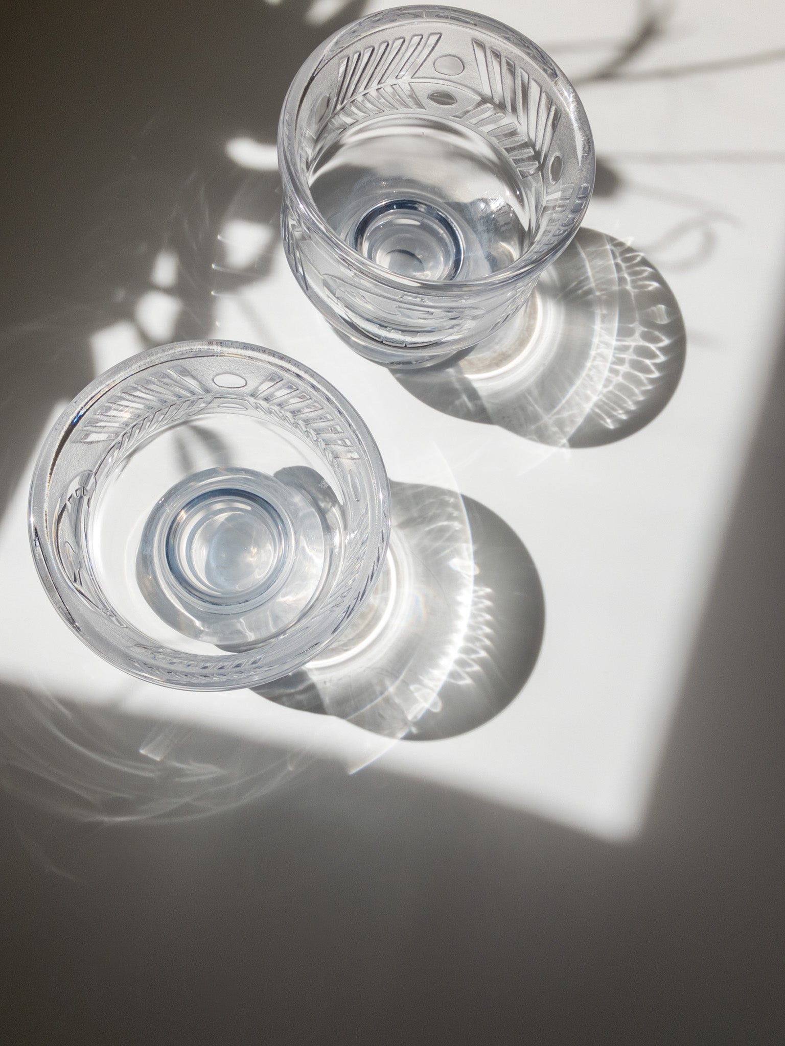 2個を上部から撮った写真