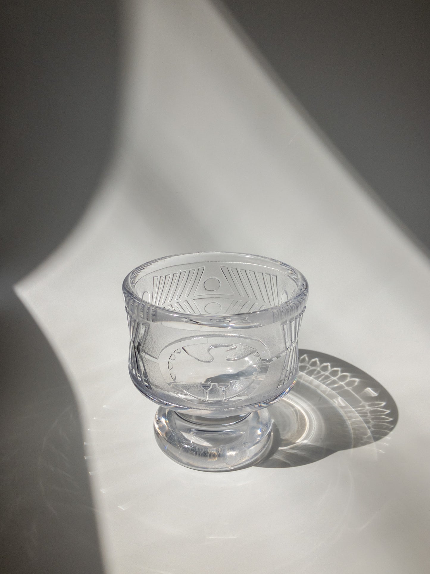 正面からの写真