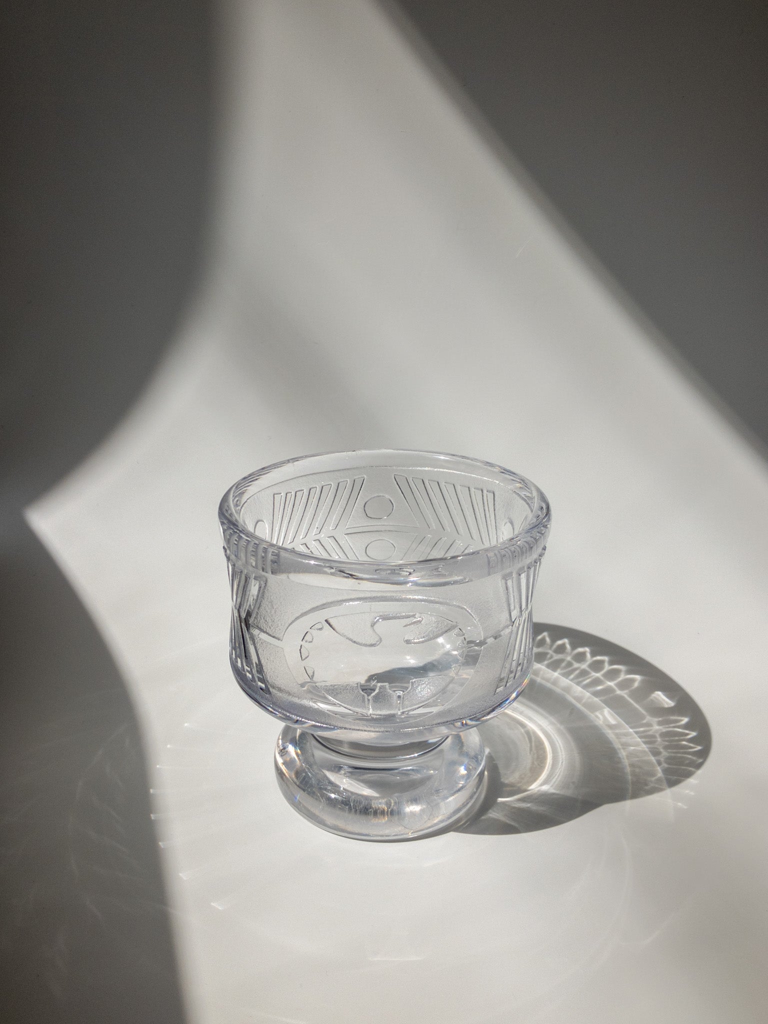 正面からの写真