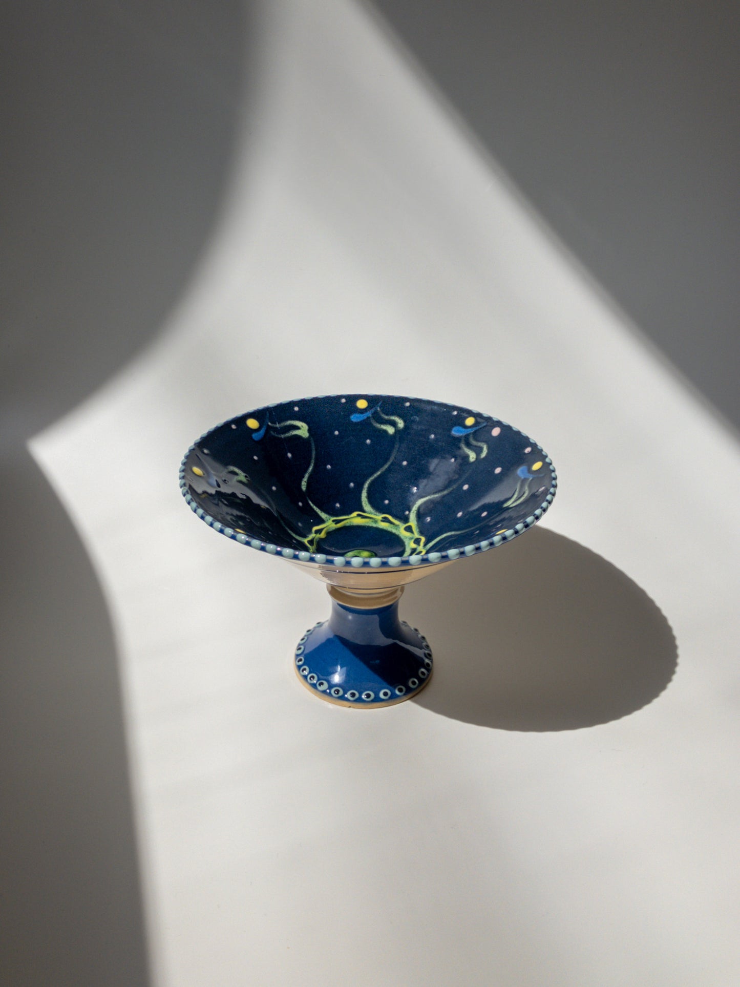 正面からの写真