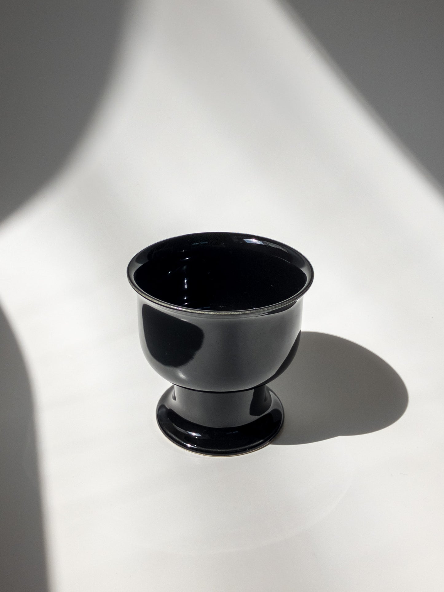 正面からの写真