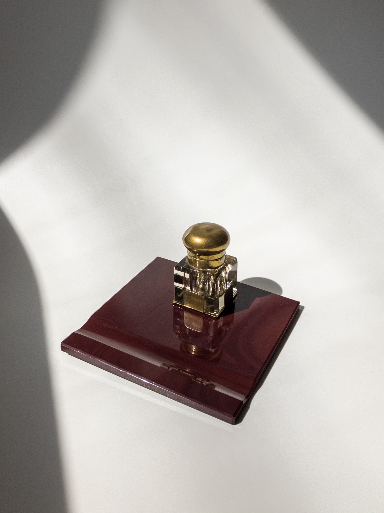 正面からの写真