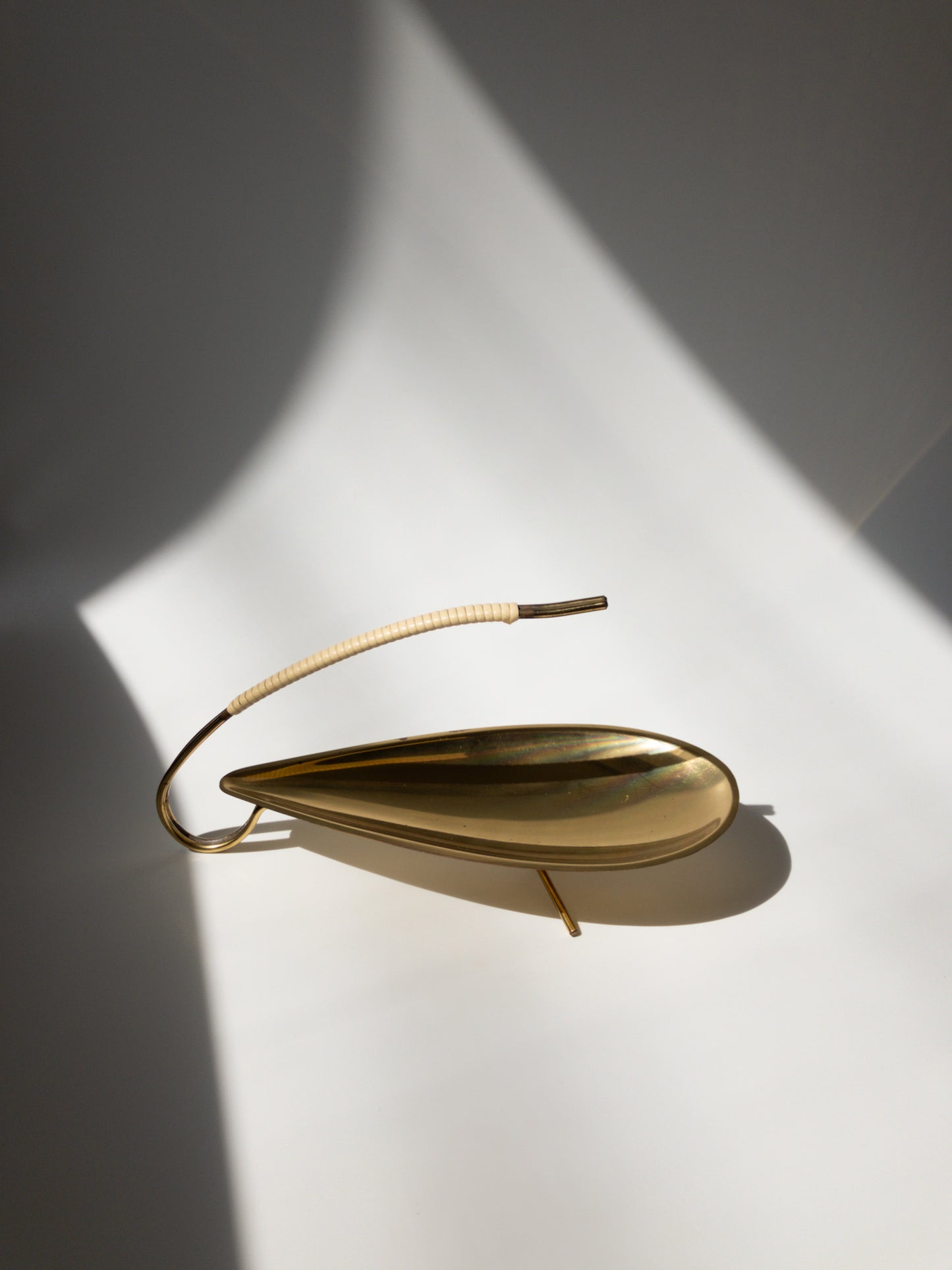 正面からの写真