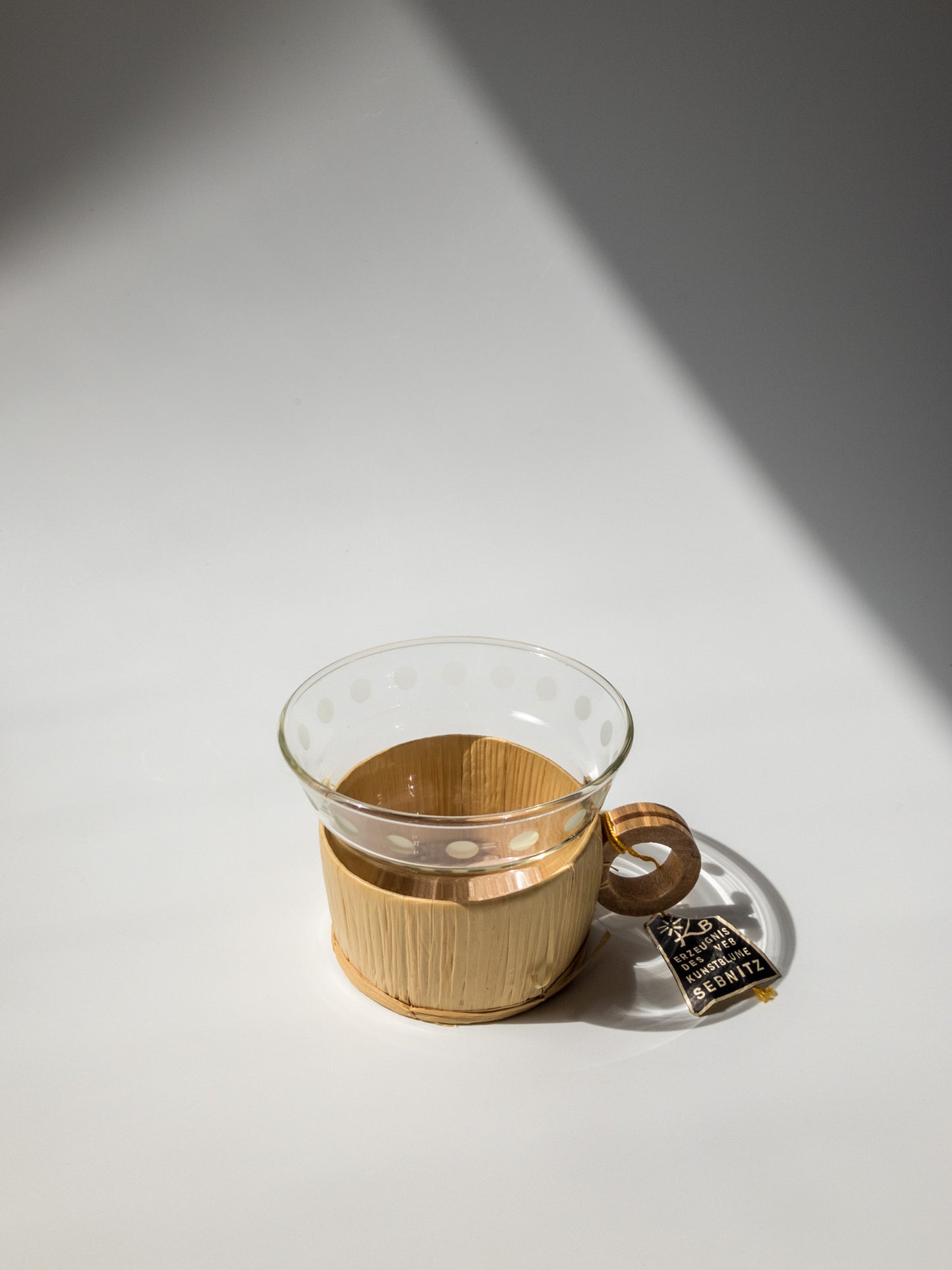 正面からの写真