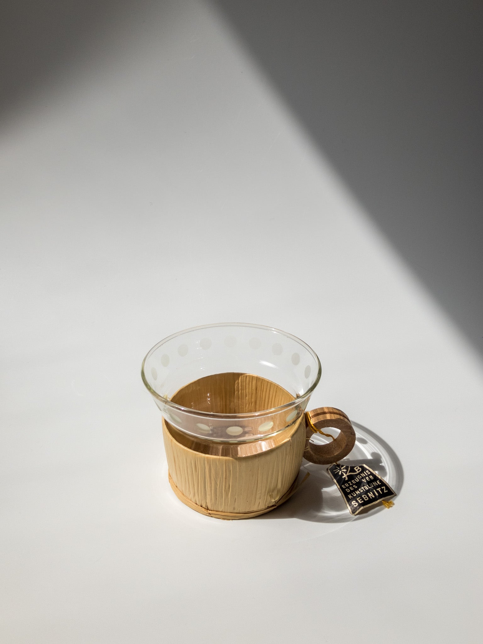 正面からの写真