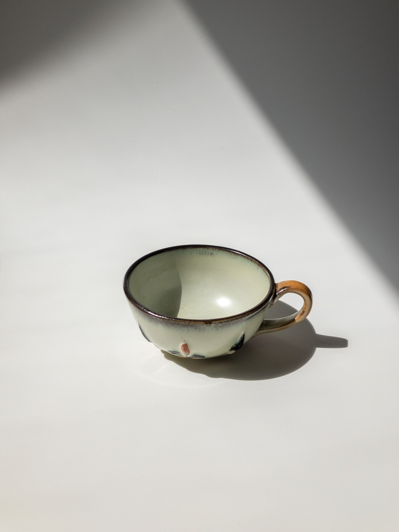 正面からの写真