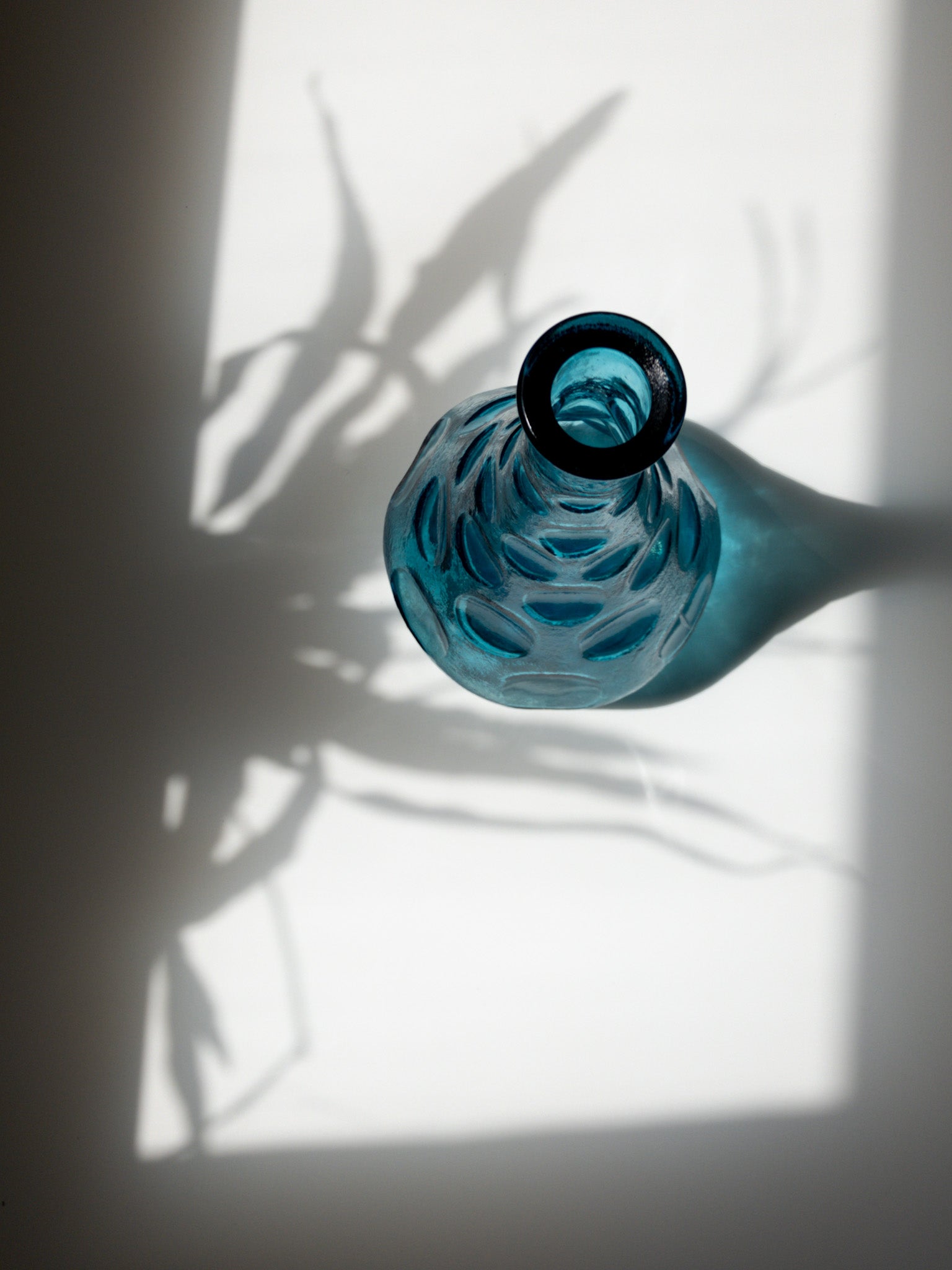 口の部分を上部から撮った写真