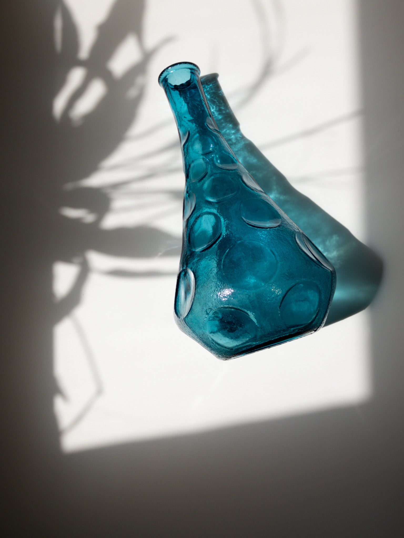 上部からの写真