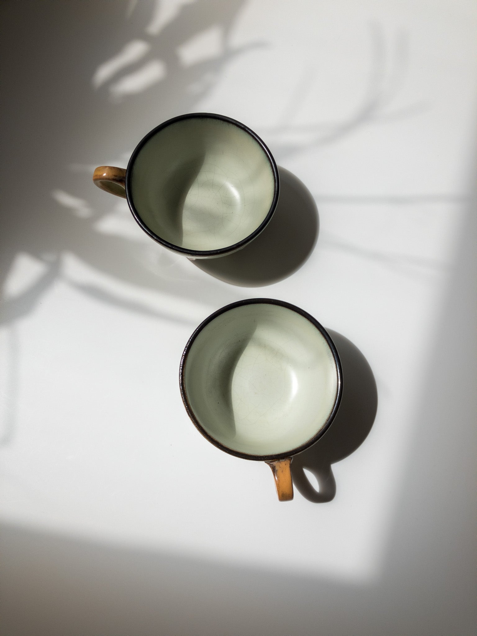 上部からの写真。カップの内側が見えている